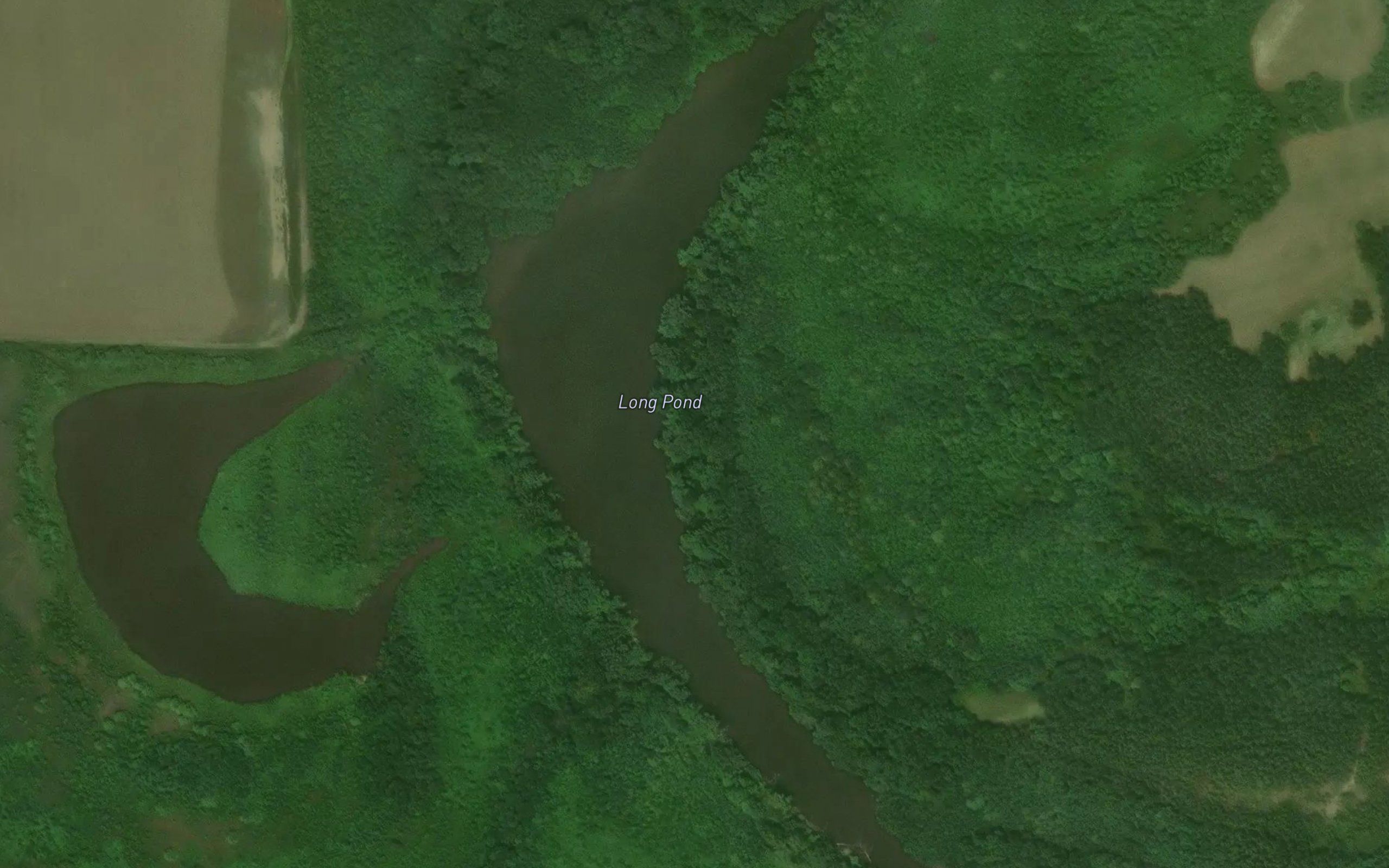 Long Pond