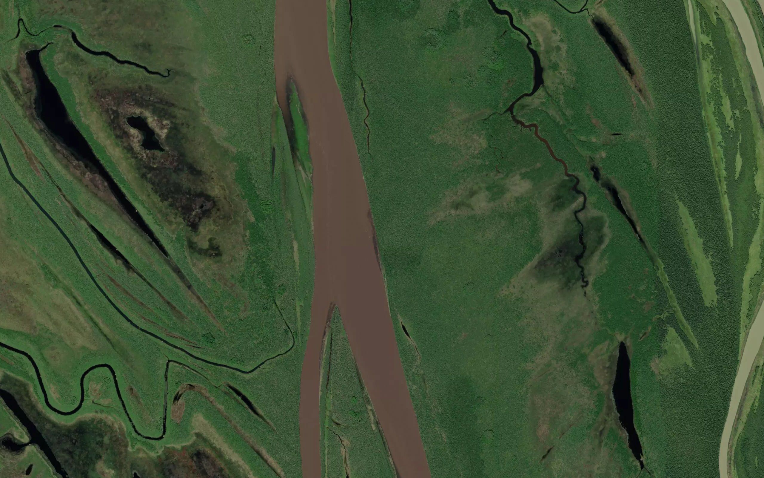 Naringolapak Slough