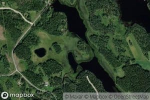 Mertujarvi