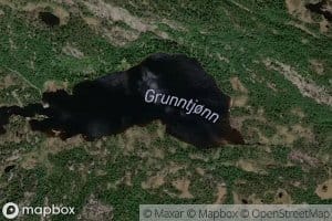 Grunntjorn