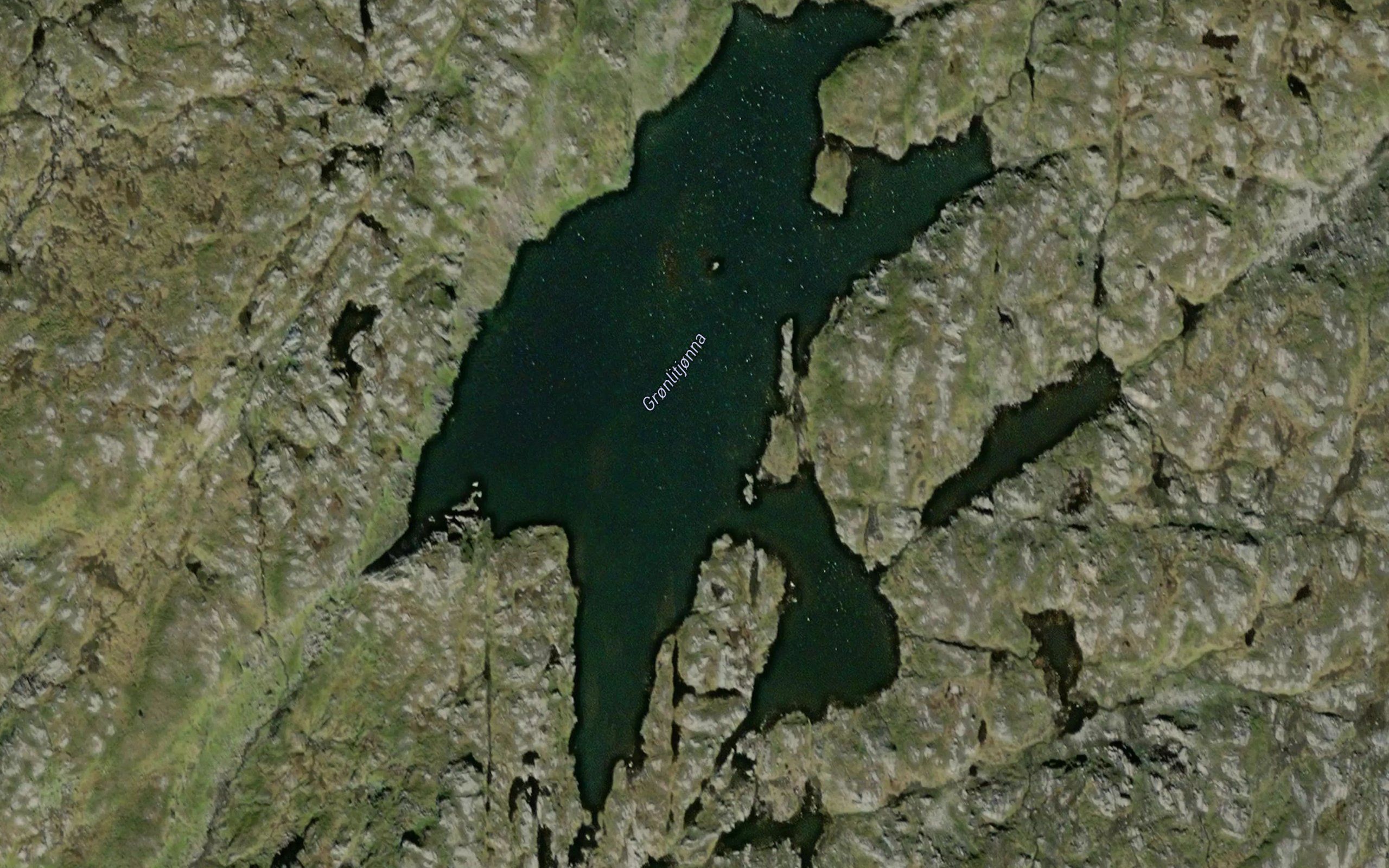 Gronlitjorna