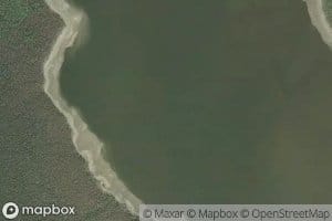 Manson Arm