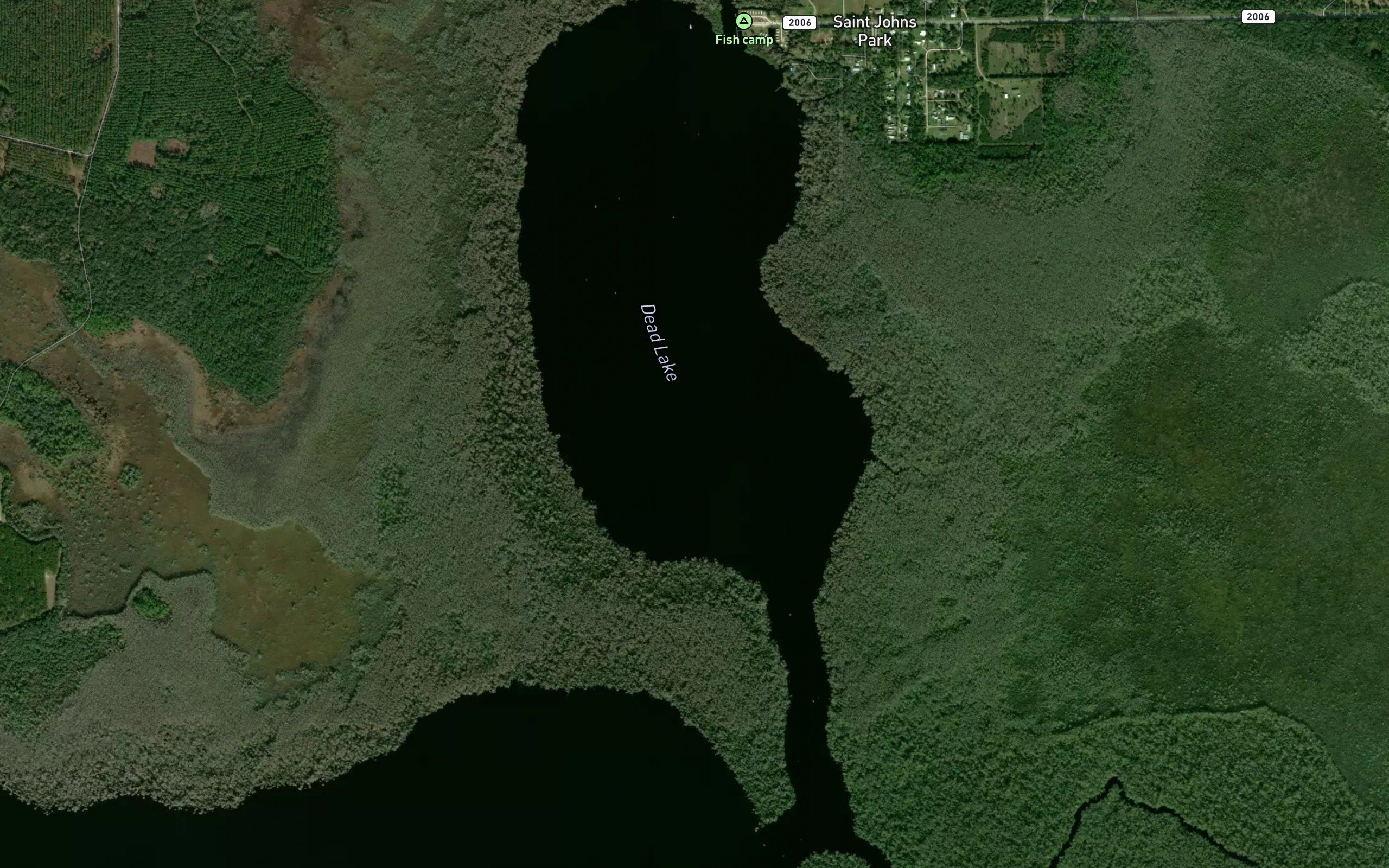 Dead Lake