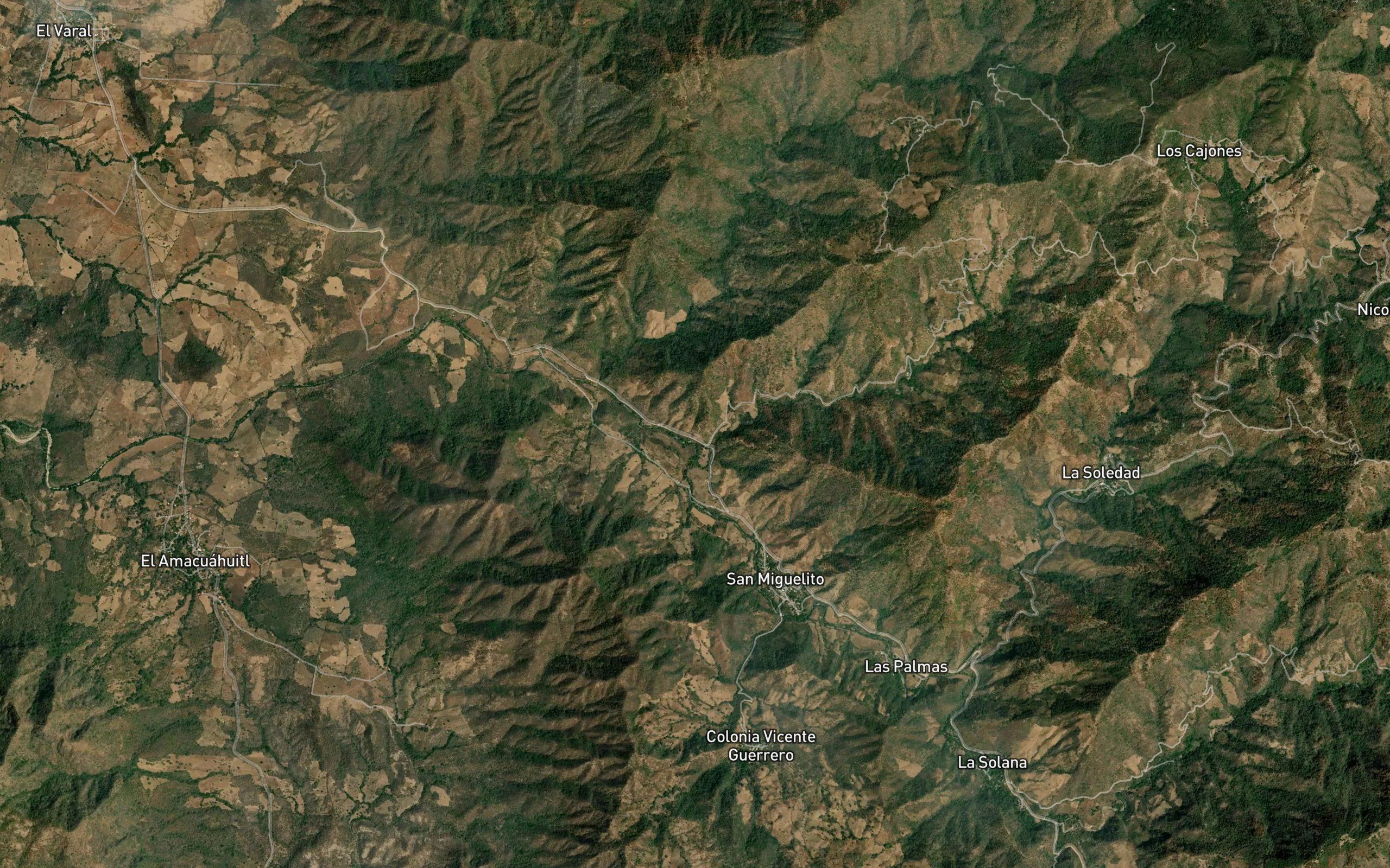 Las Pinas