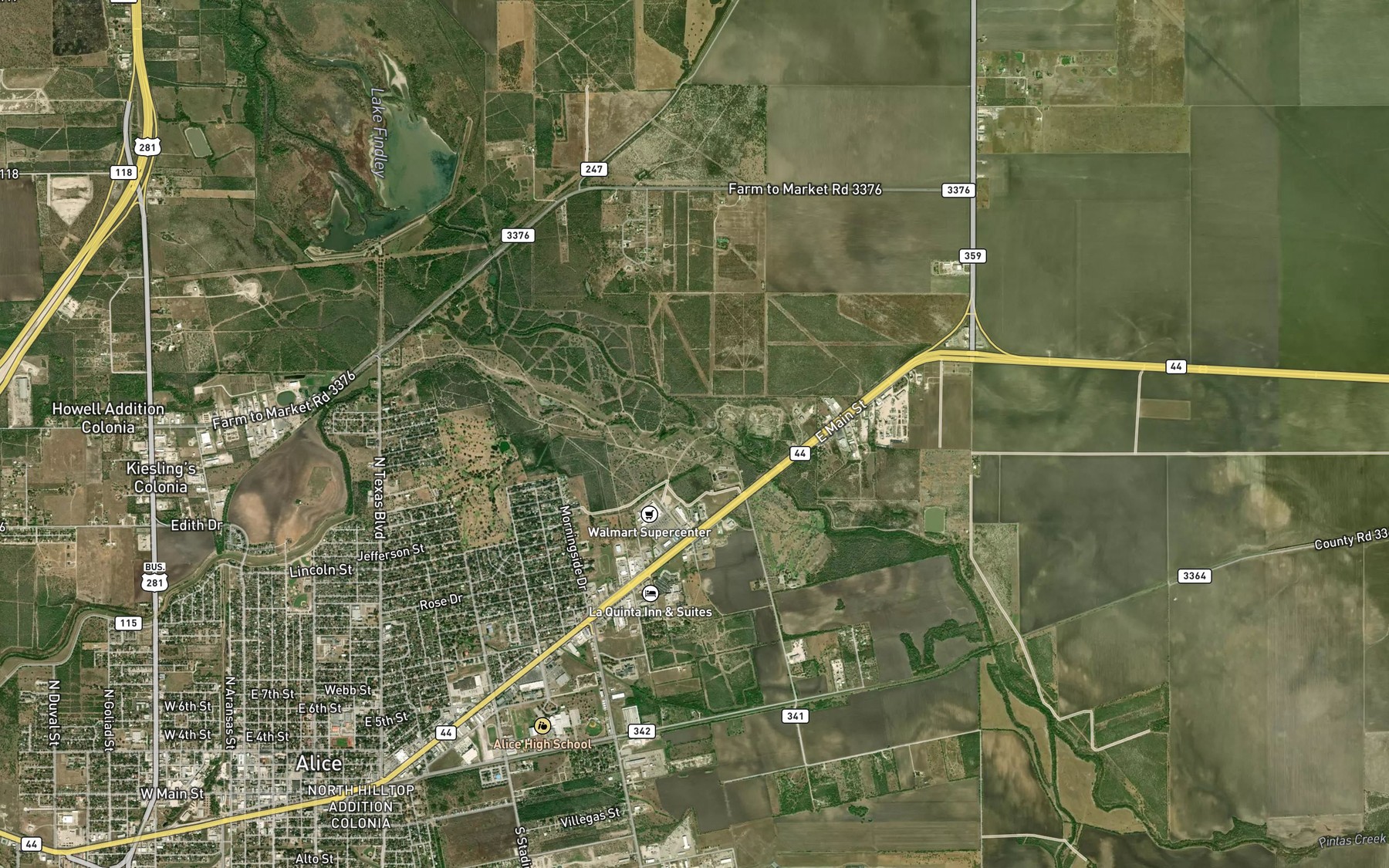 Satellite map of the Resaca de Enmedio