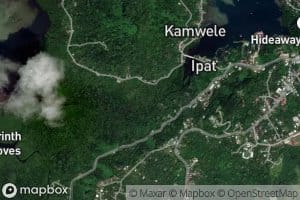 Mangrove Swamp Channel