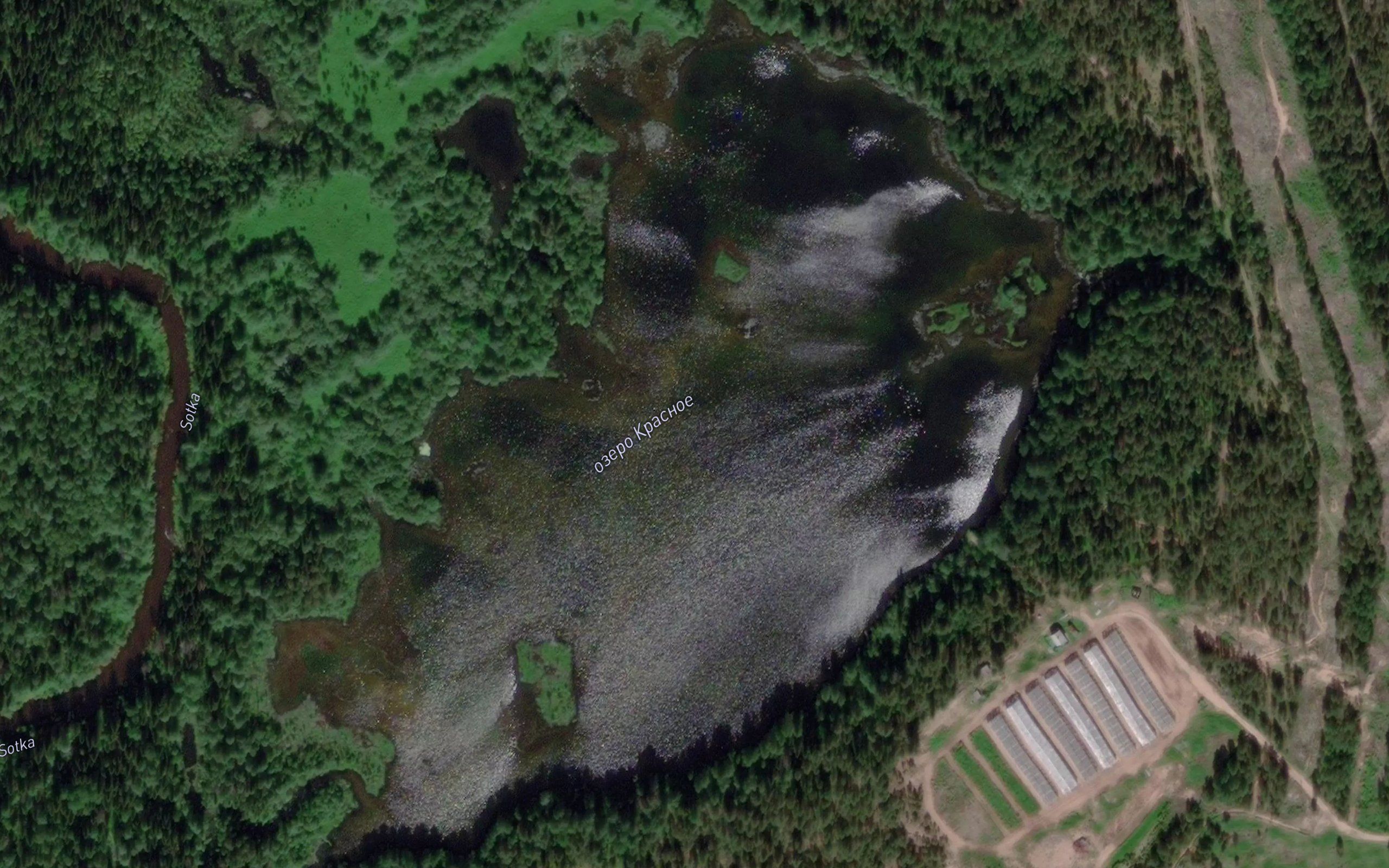 Syrgovka