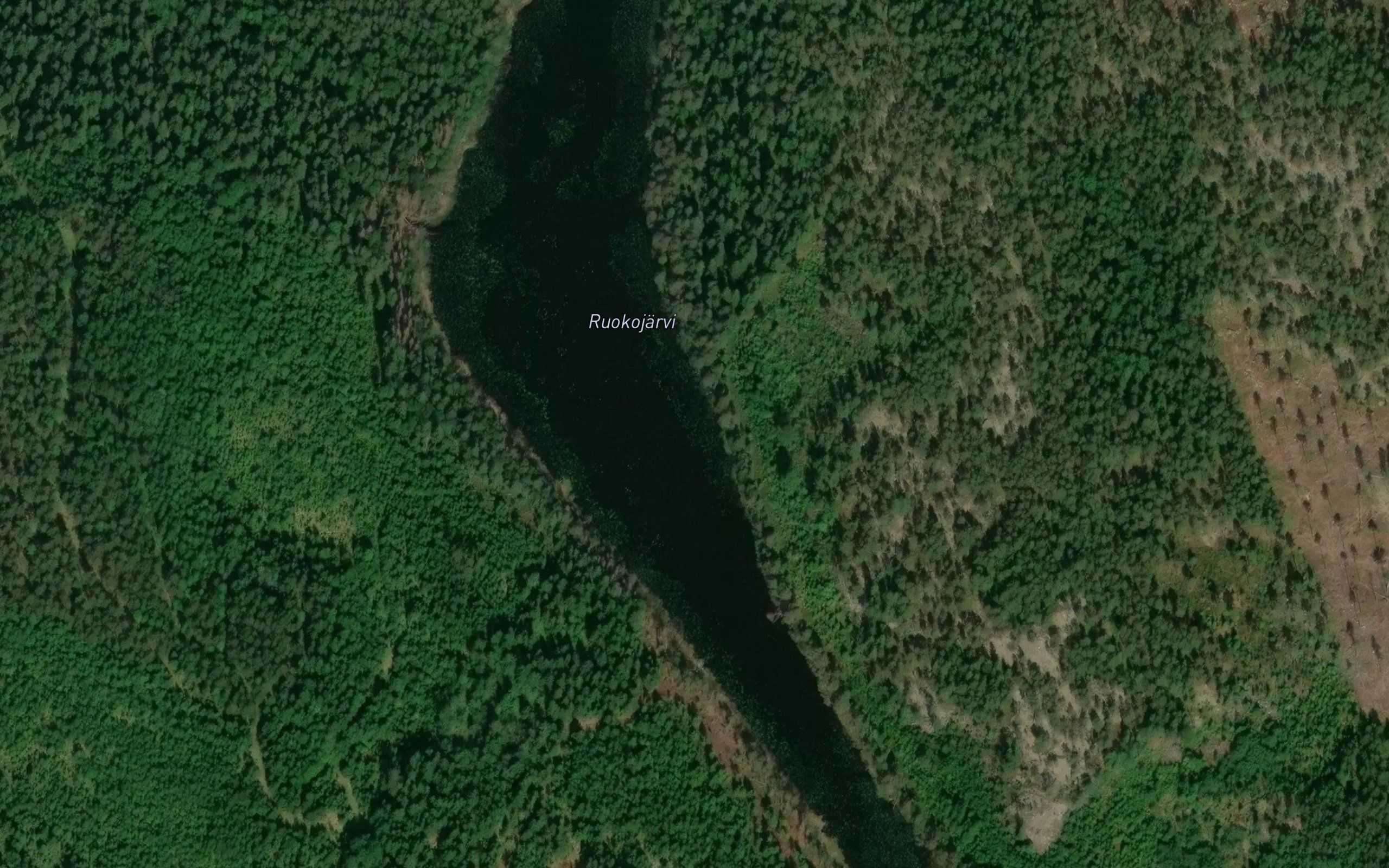 Ruokojarvi