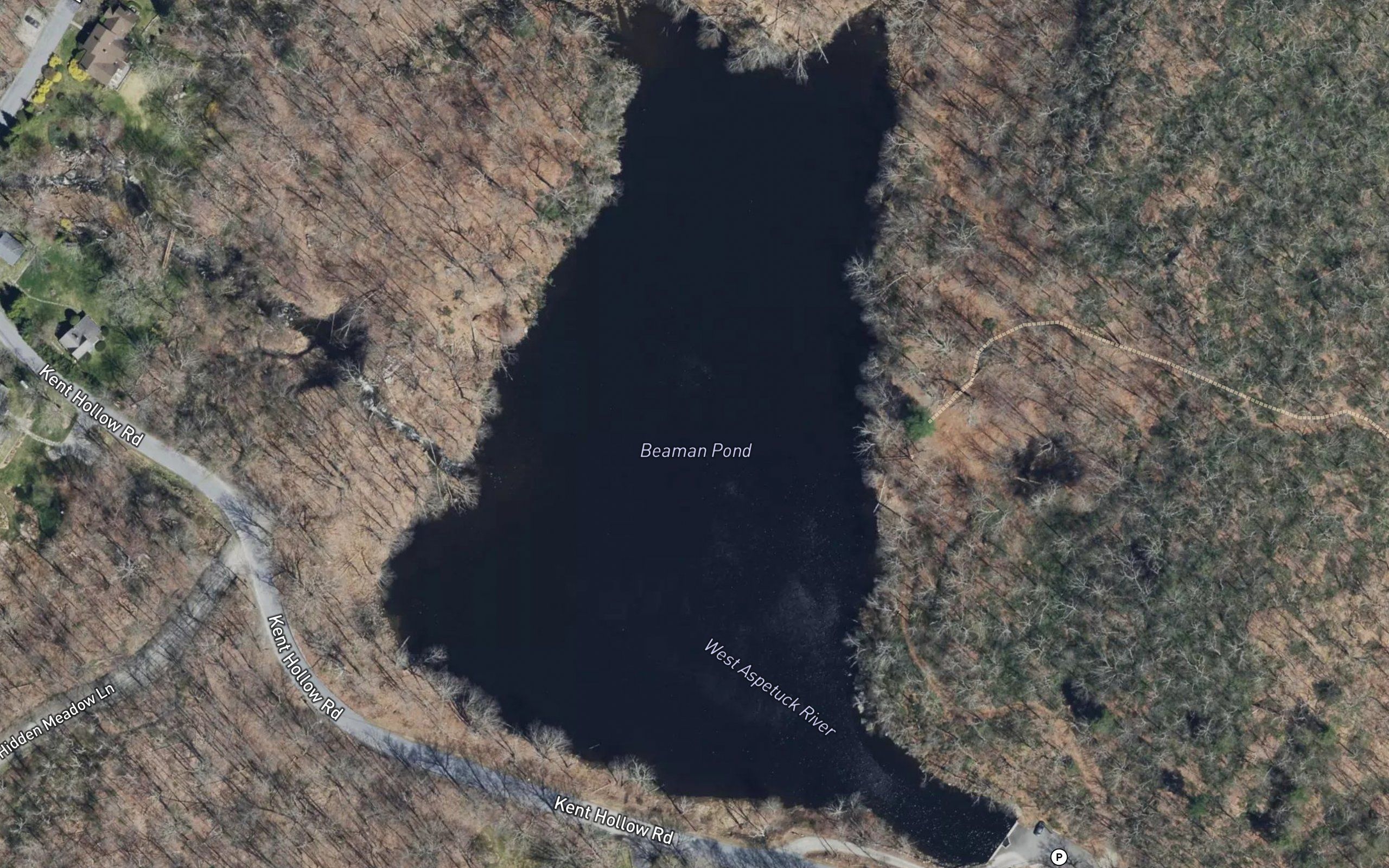 Beaman Pond