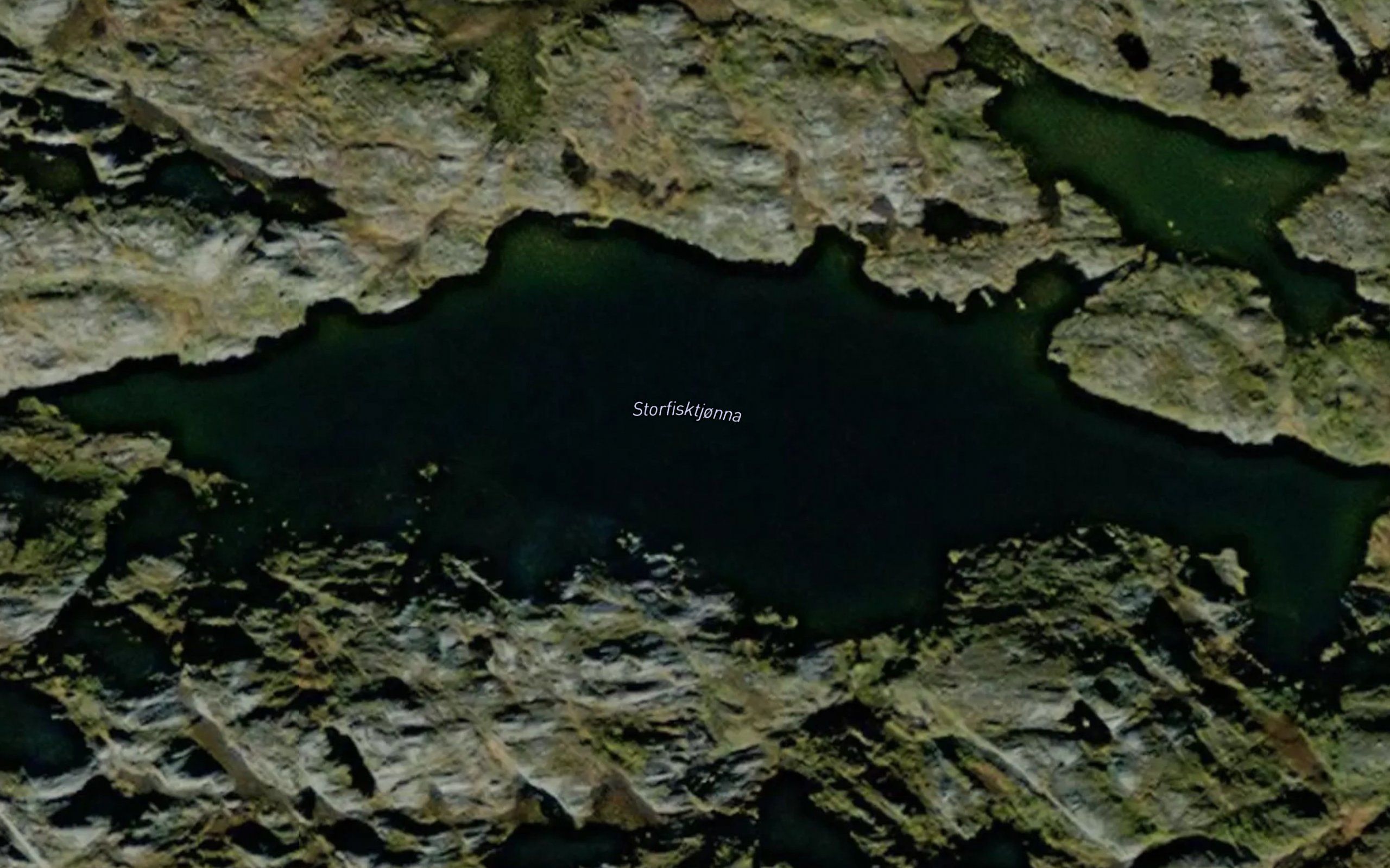 Storfisktjonna