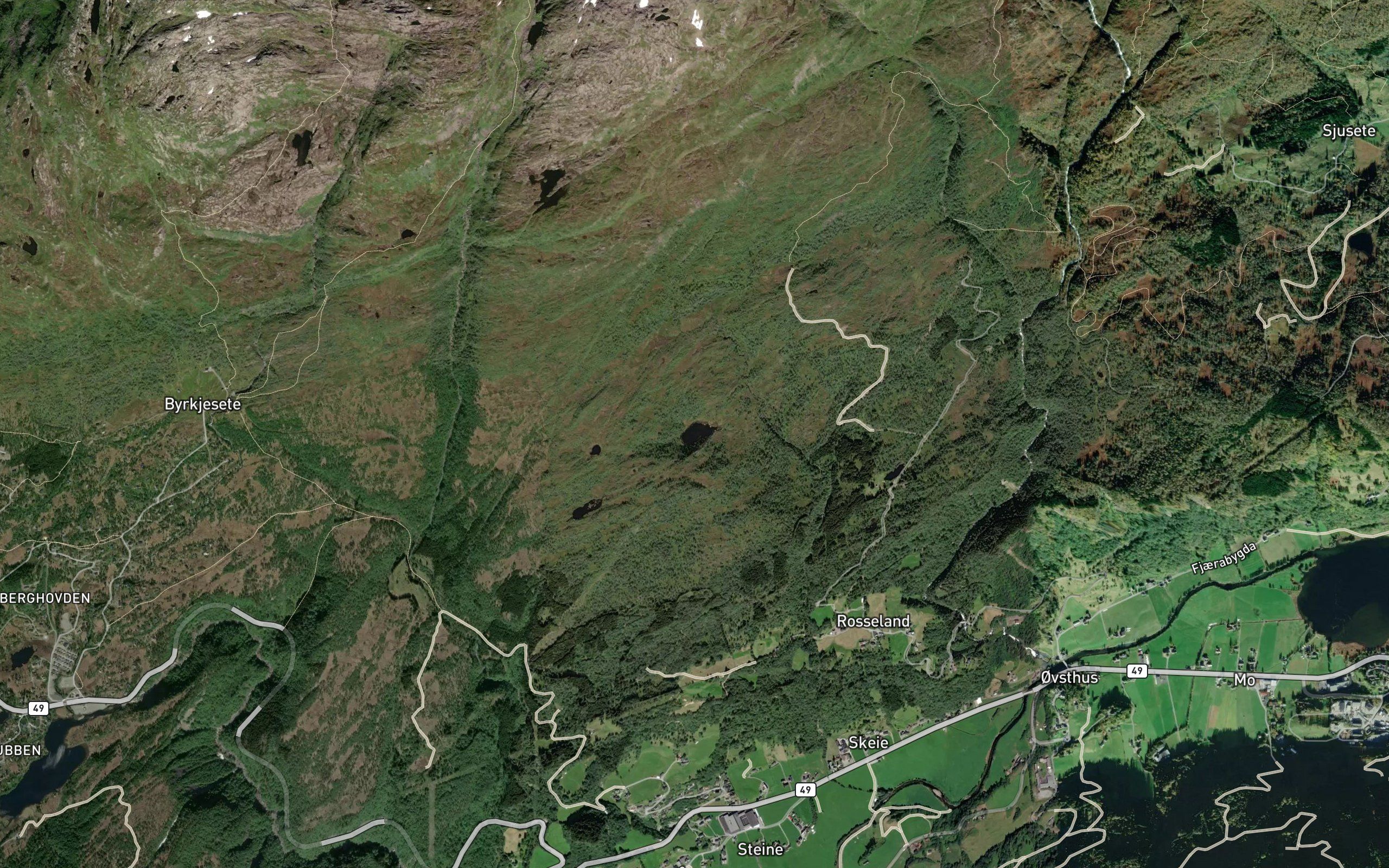 Svortetjorni
