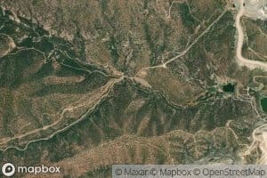 Vigor of Life Spring