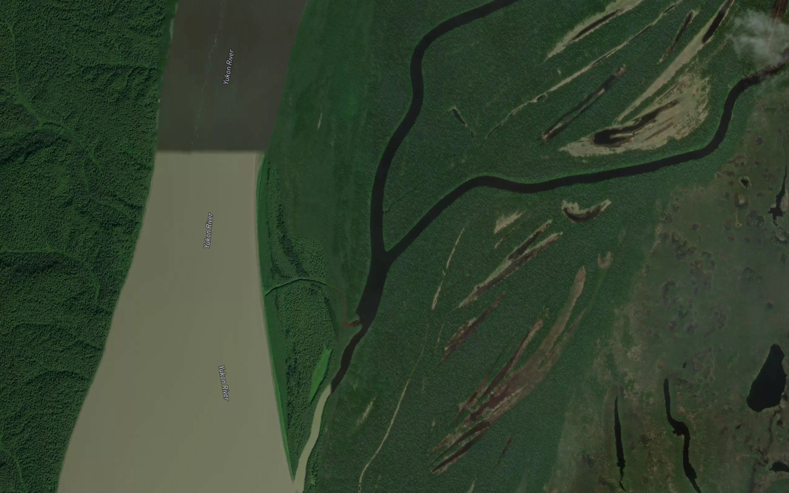 Yankee Slough