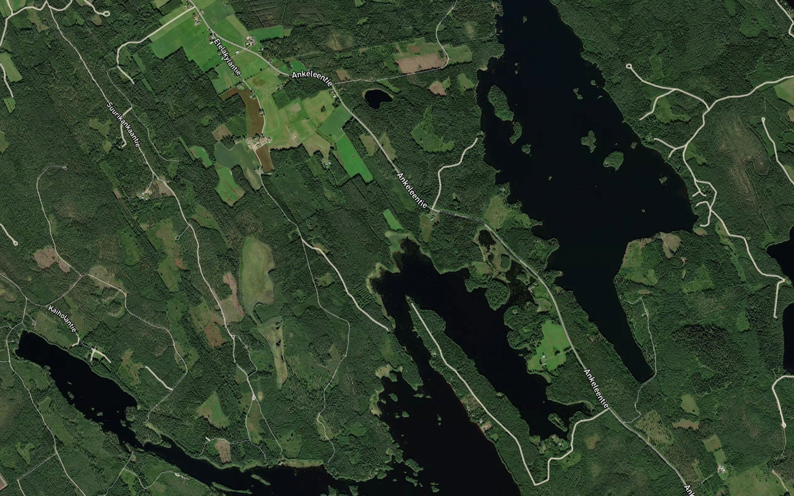 Purunjoki