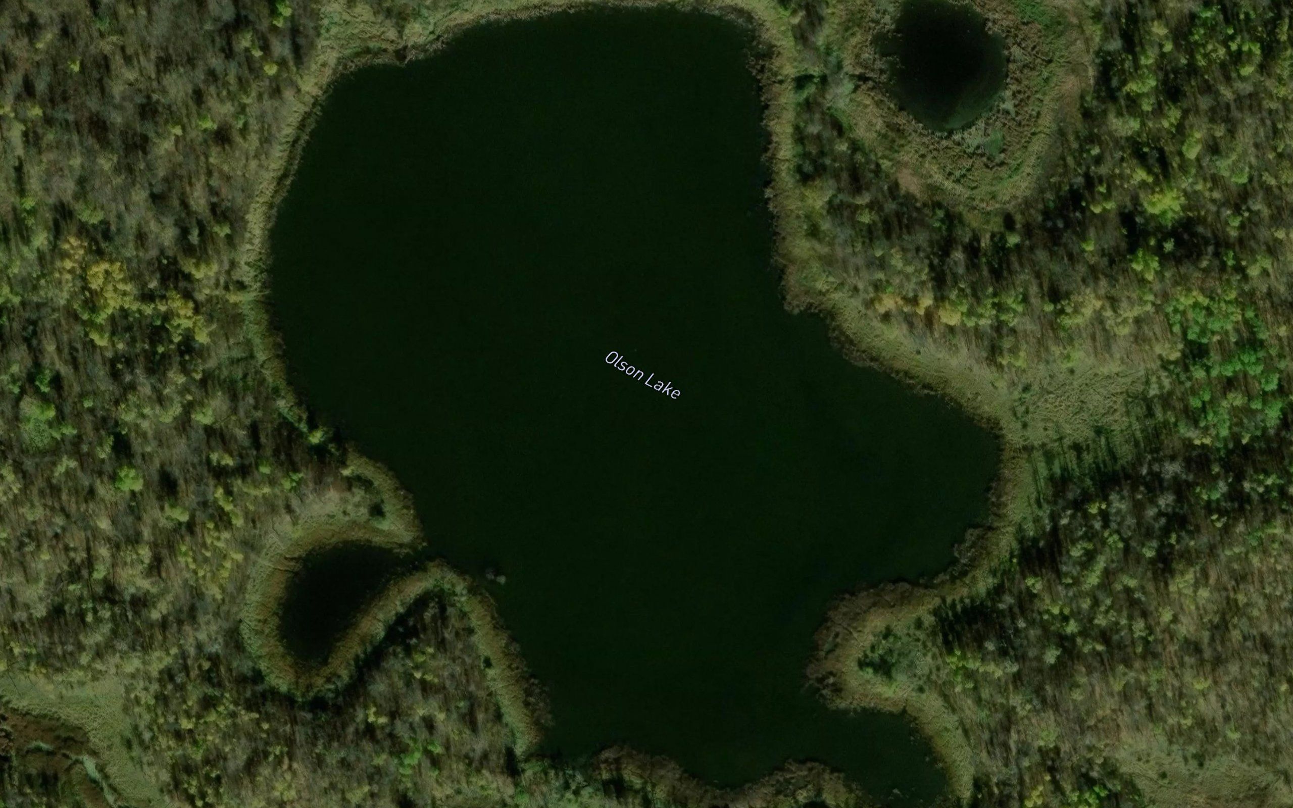 Olson Lake