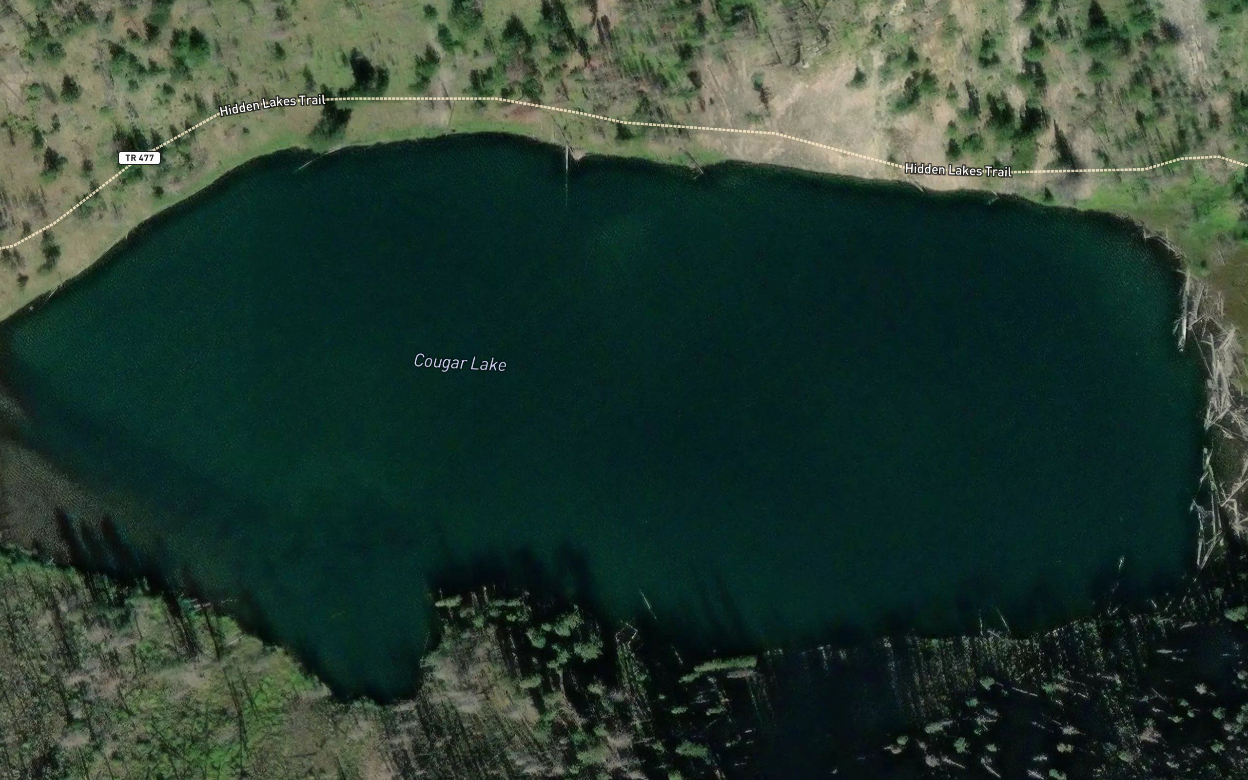 Cougar Lake