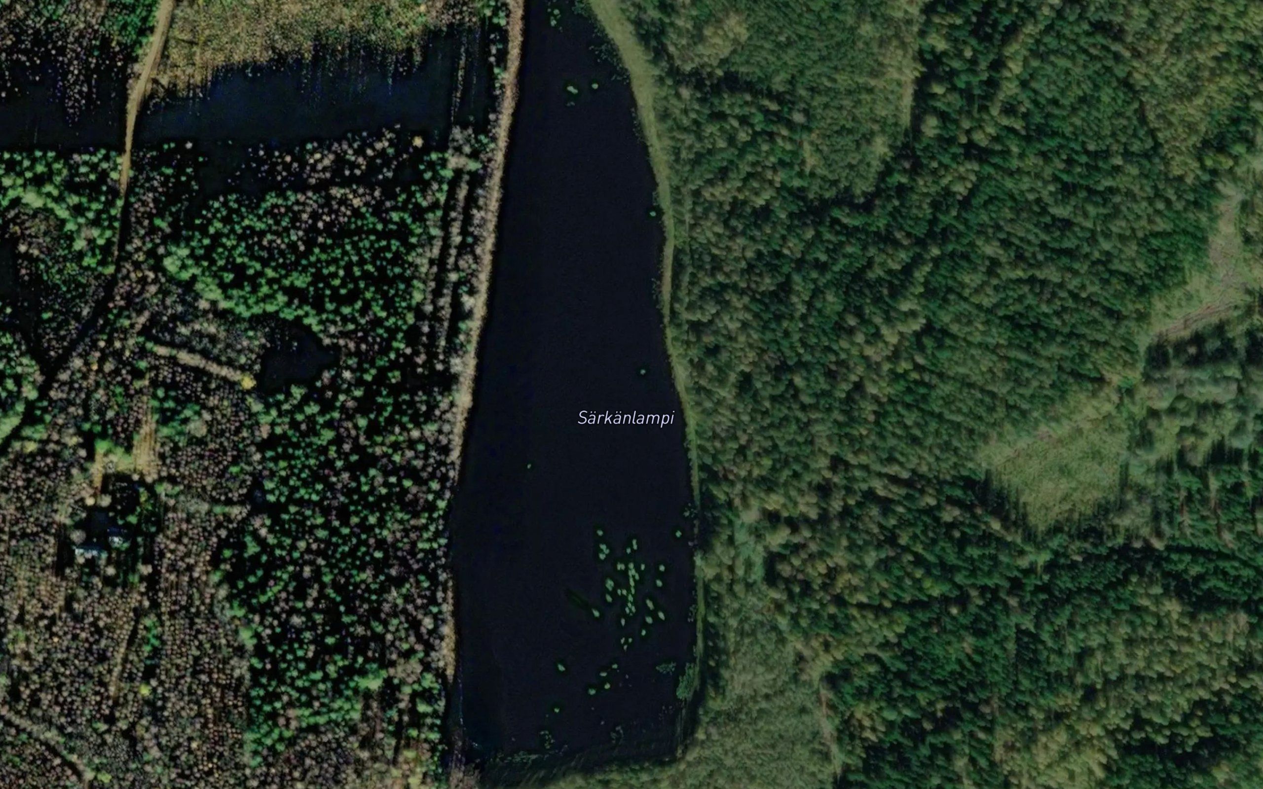 Sarkanlampi