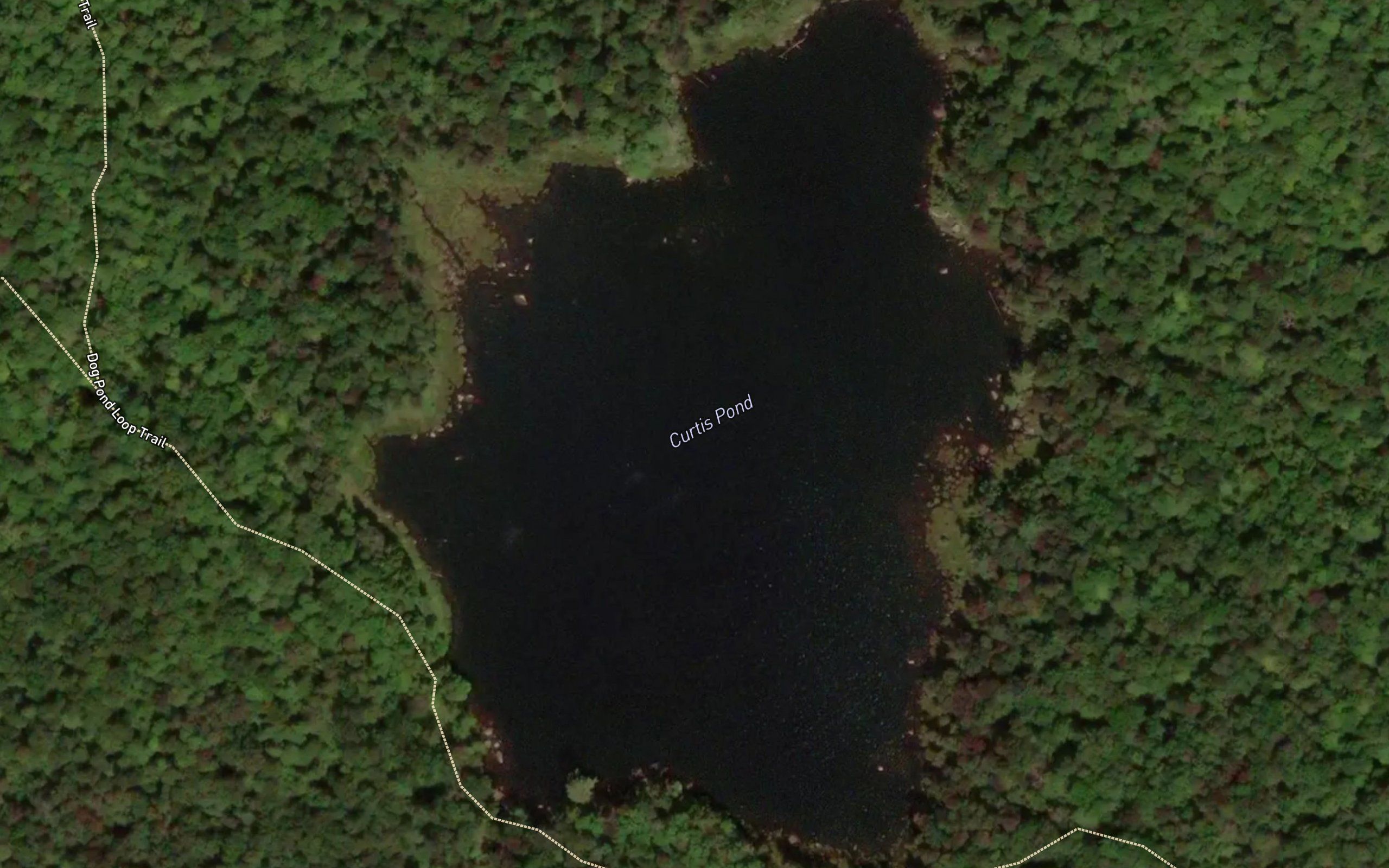 Curtis Pond