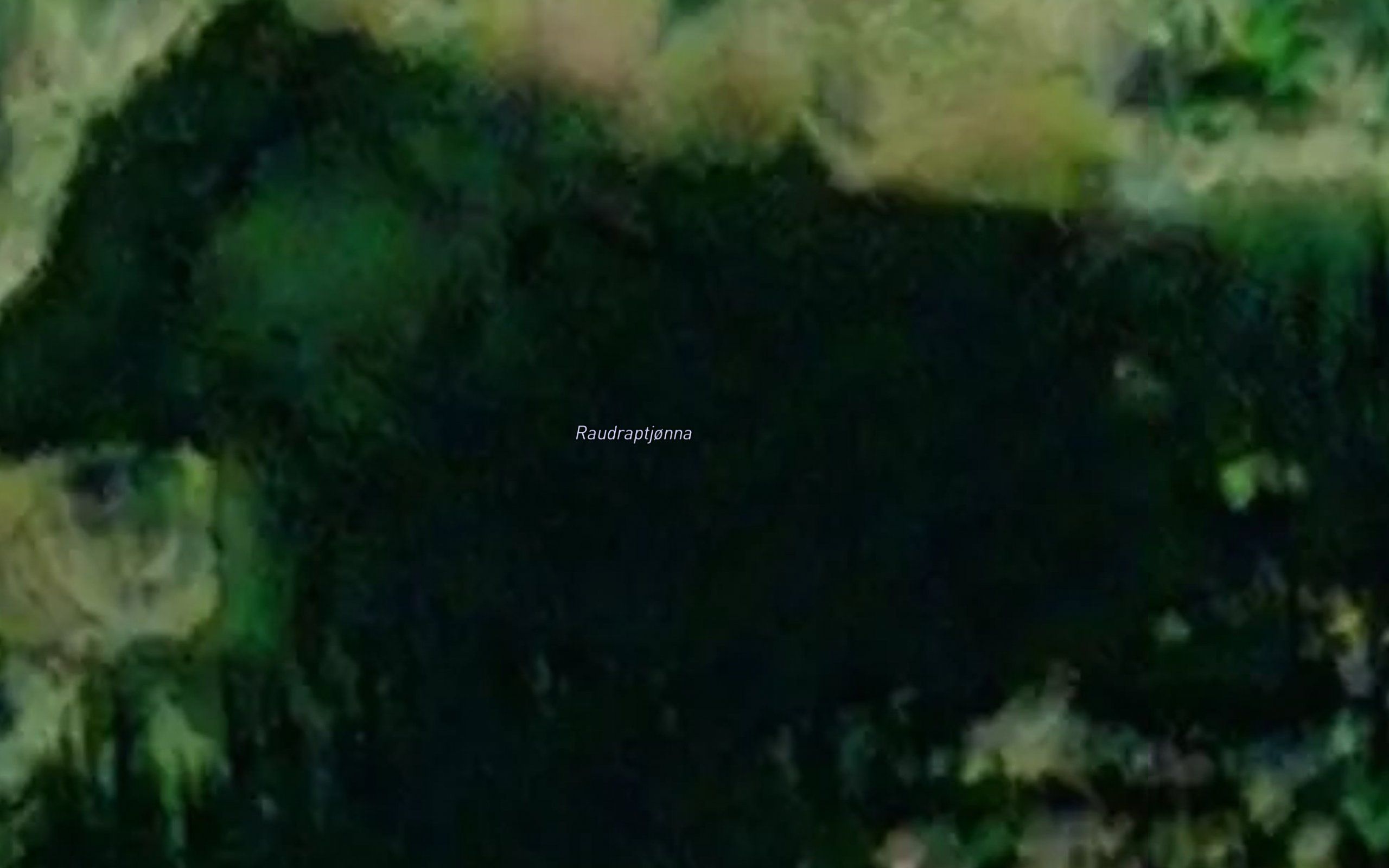 Raudraptjorna