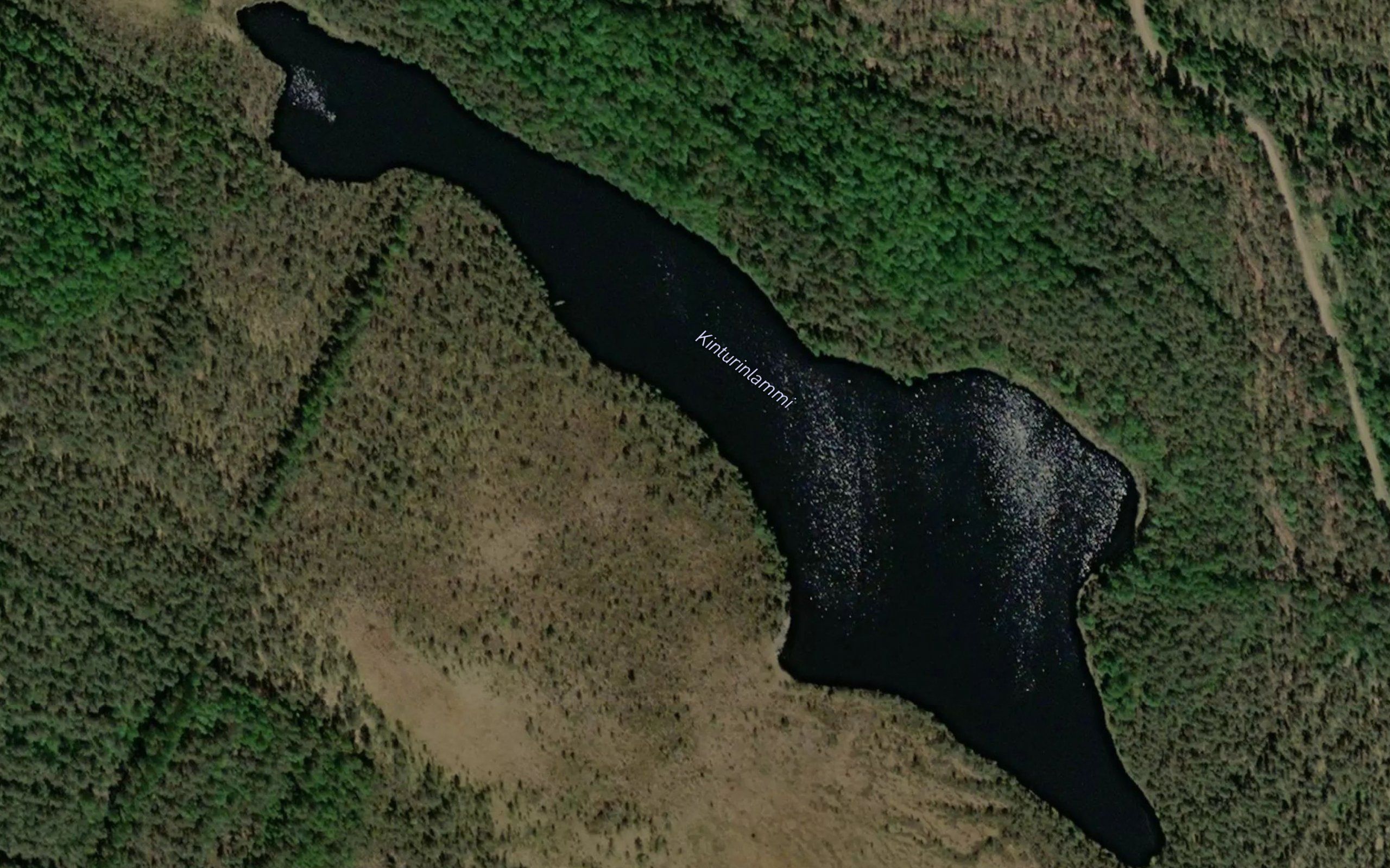 Kinturinlammi