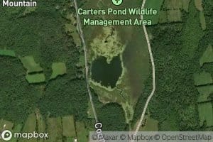 Carter Pond