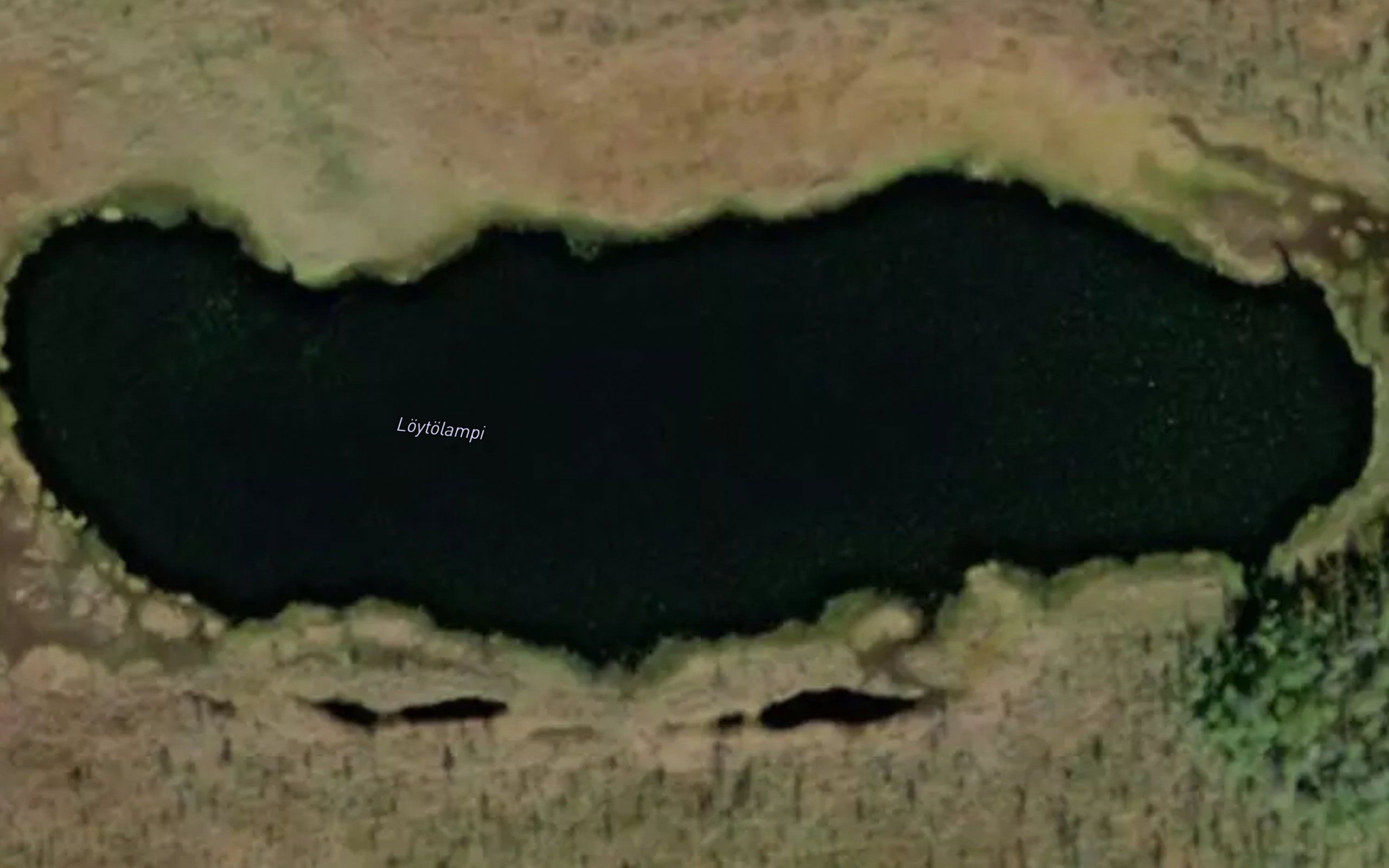 Loytolampi