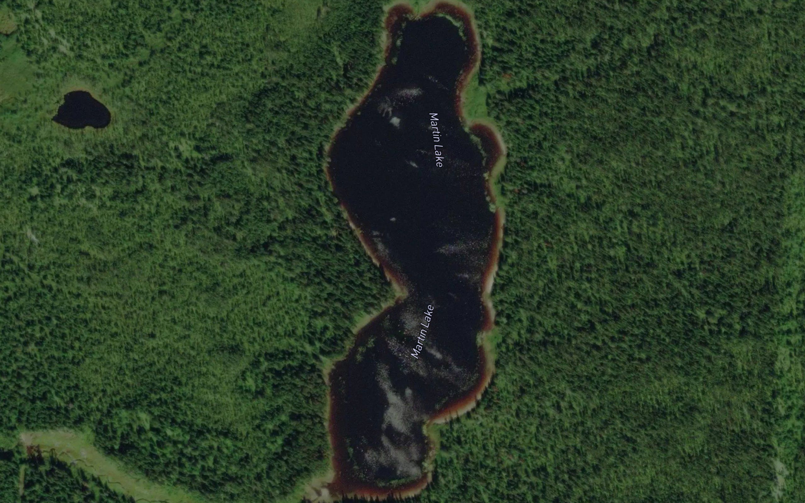 Martin Lake