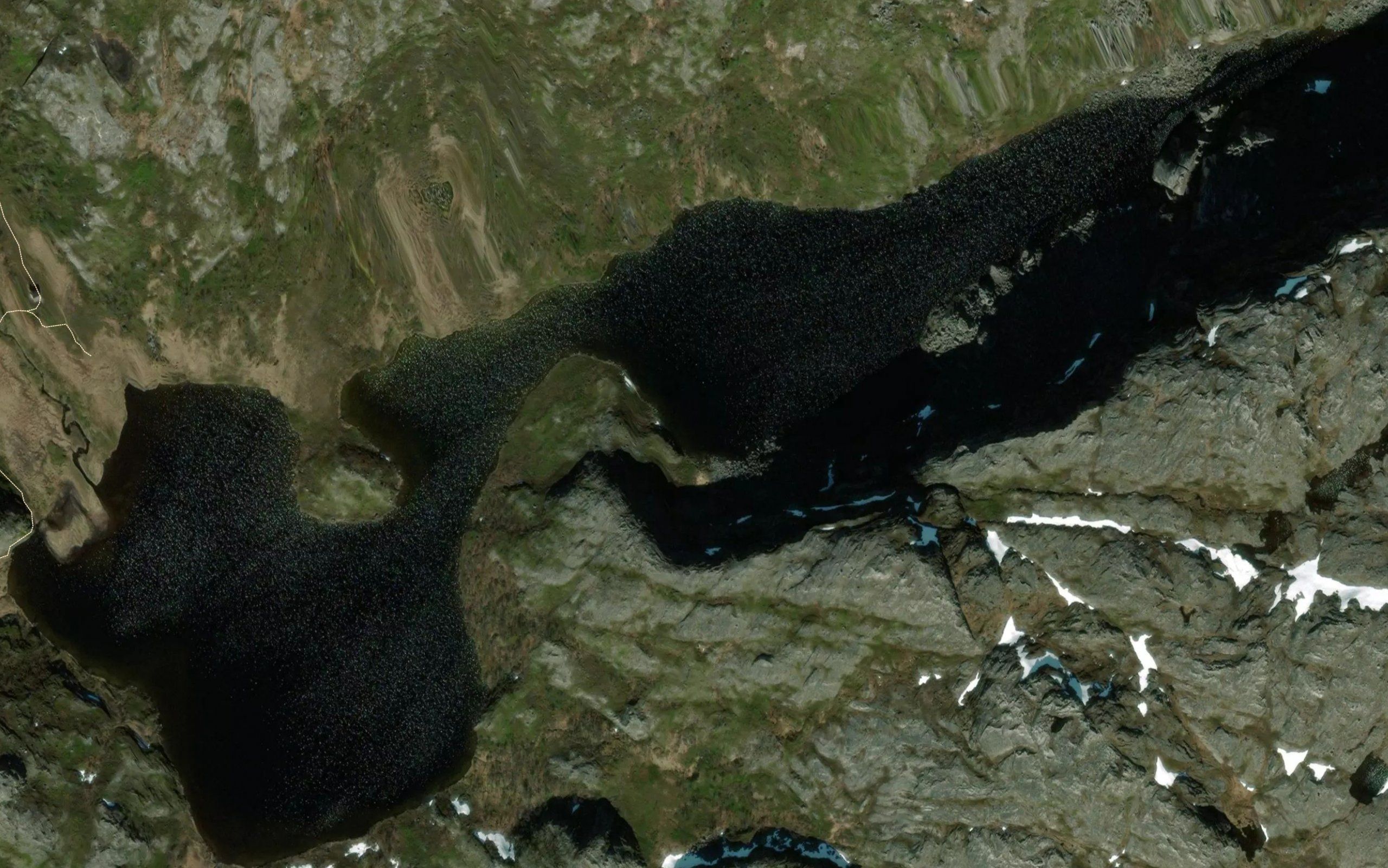 Ruksesvuonjavri
