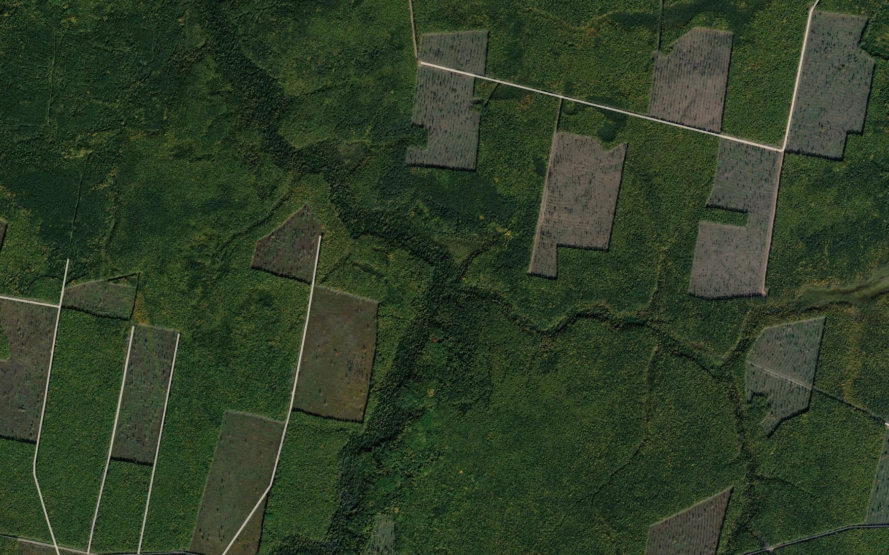 Satellite map of the Lek