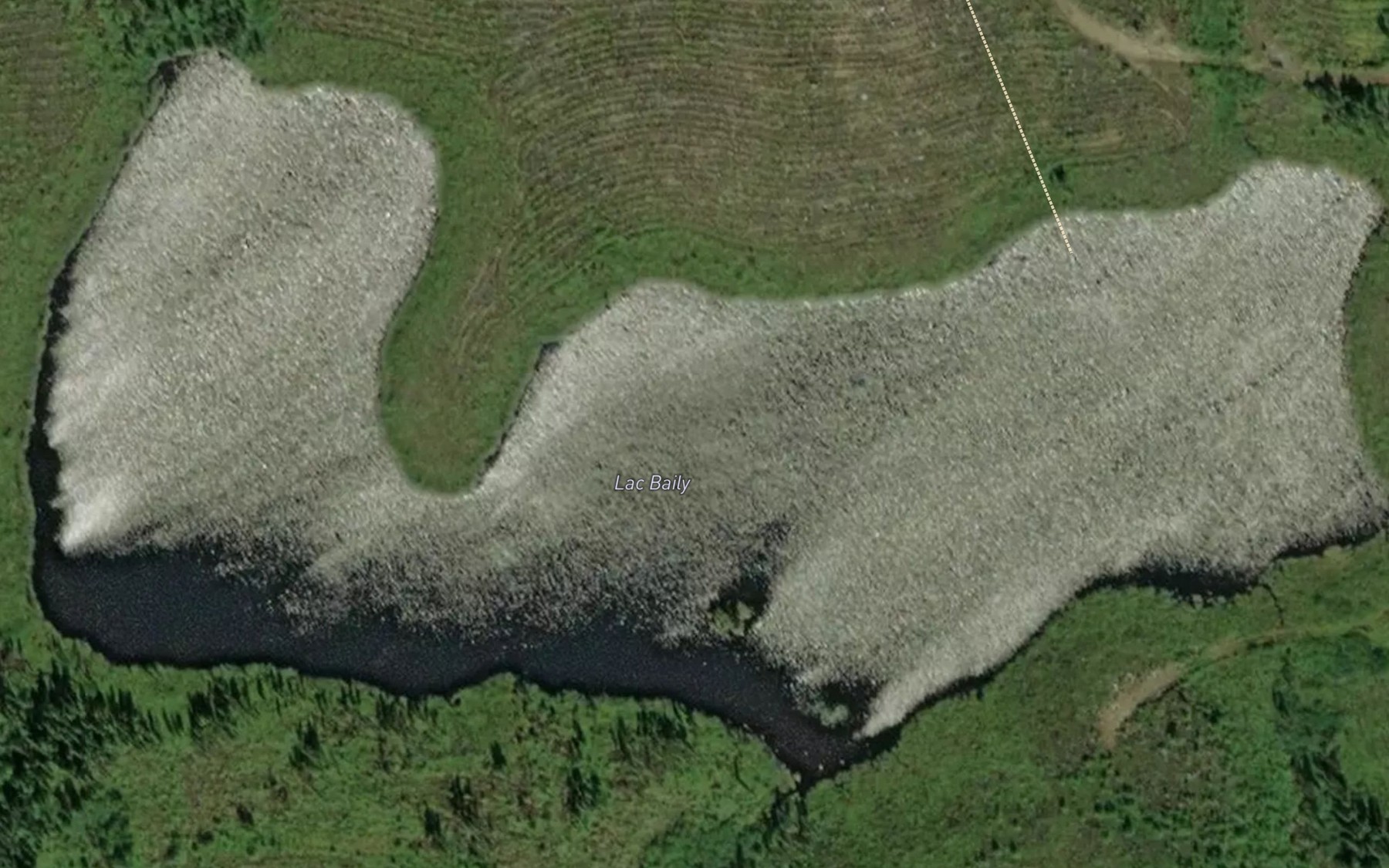 Satellite map of the Lac Baily