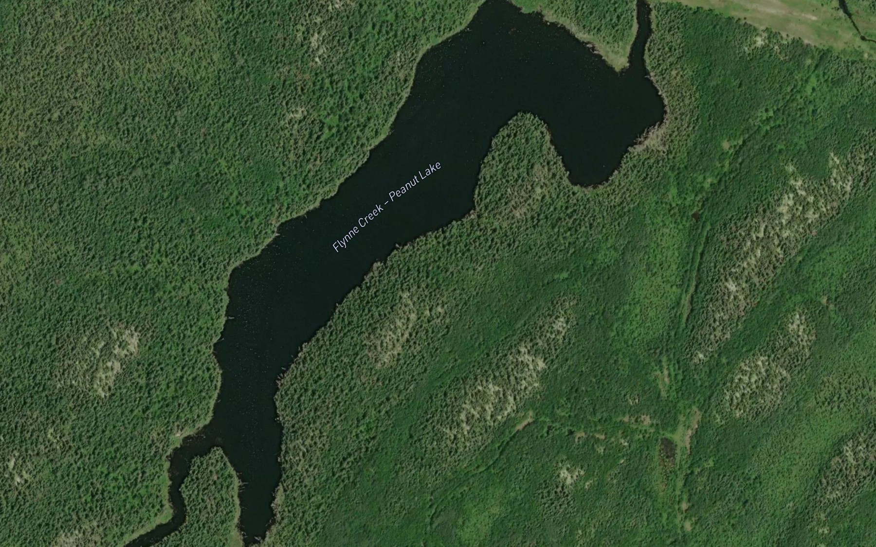 Satellite map of the Peanut Lake
