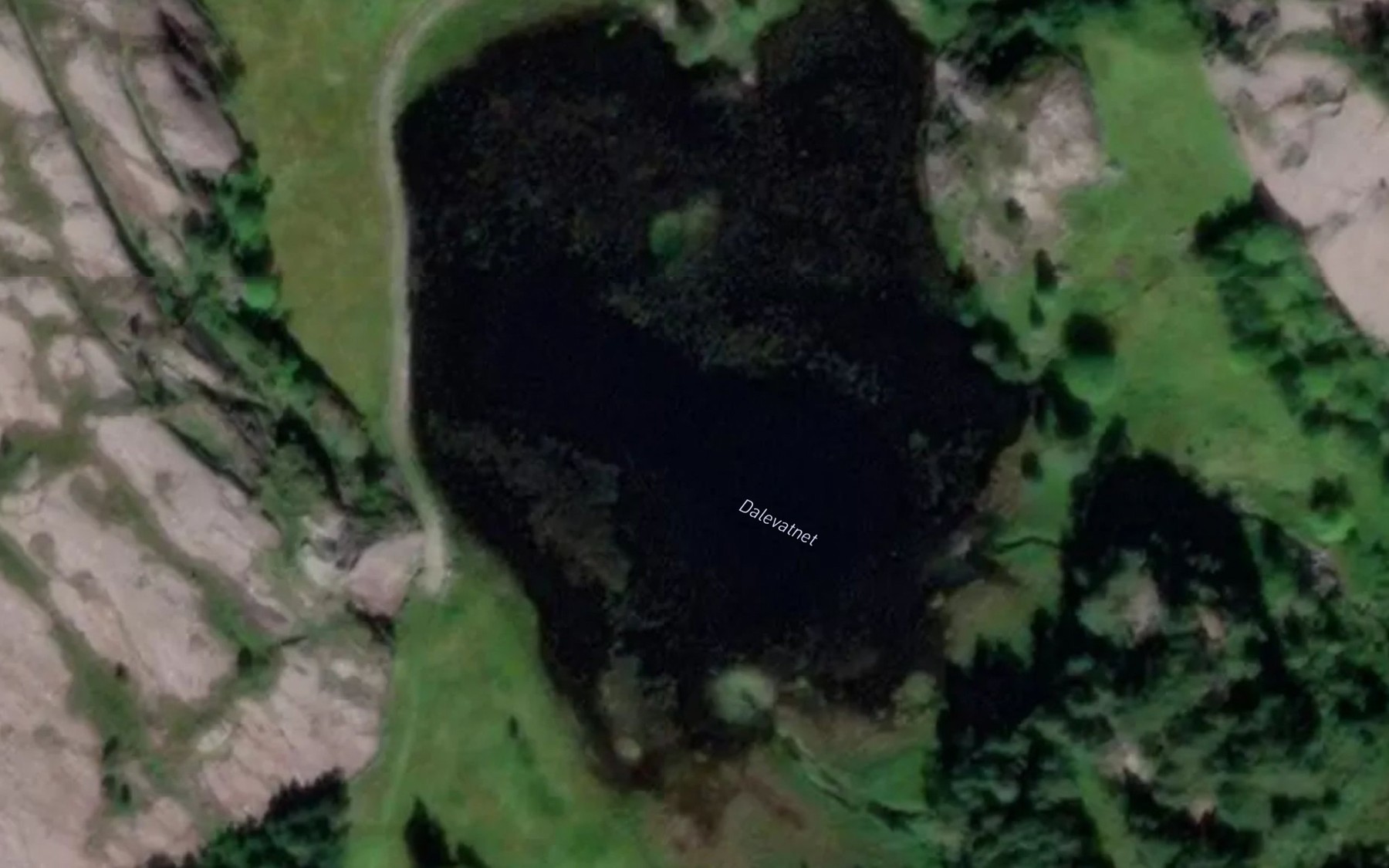 Satellite map of the Dalevatnet