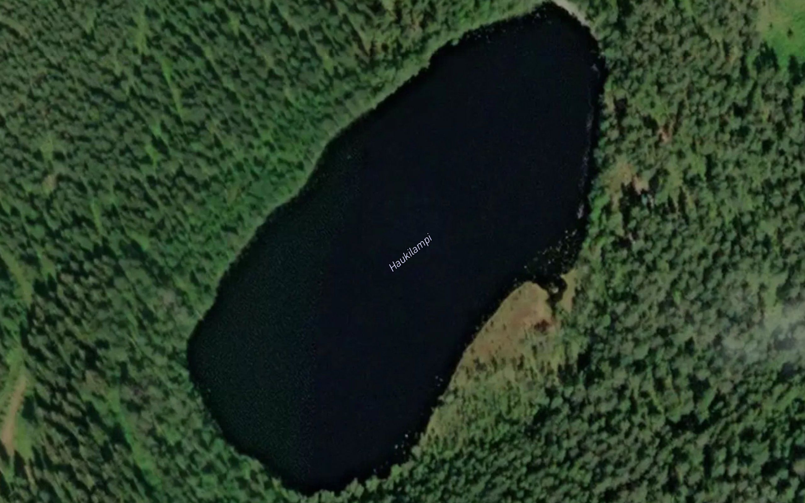 Haukilampi