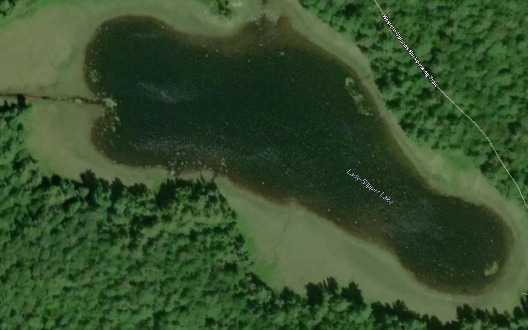 Satellite map of the Lady-slipper