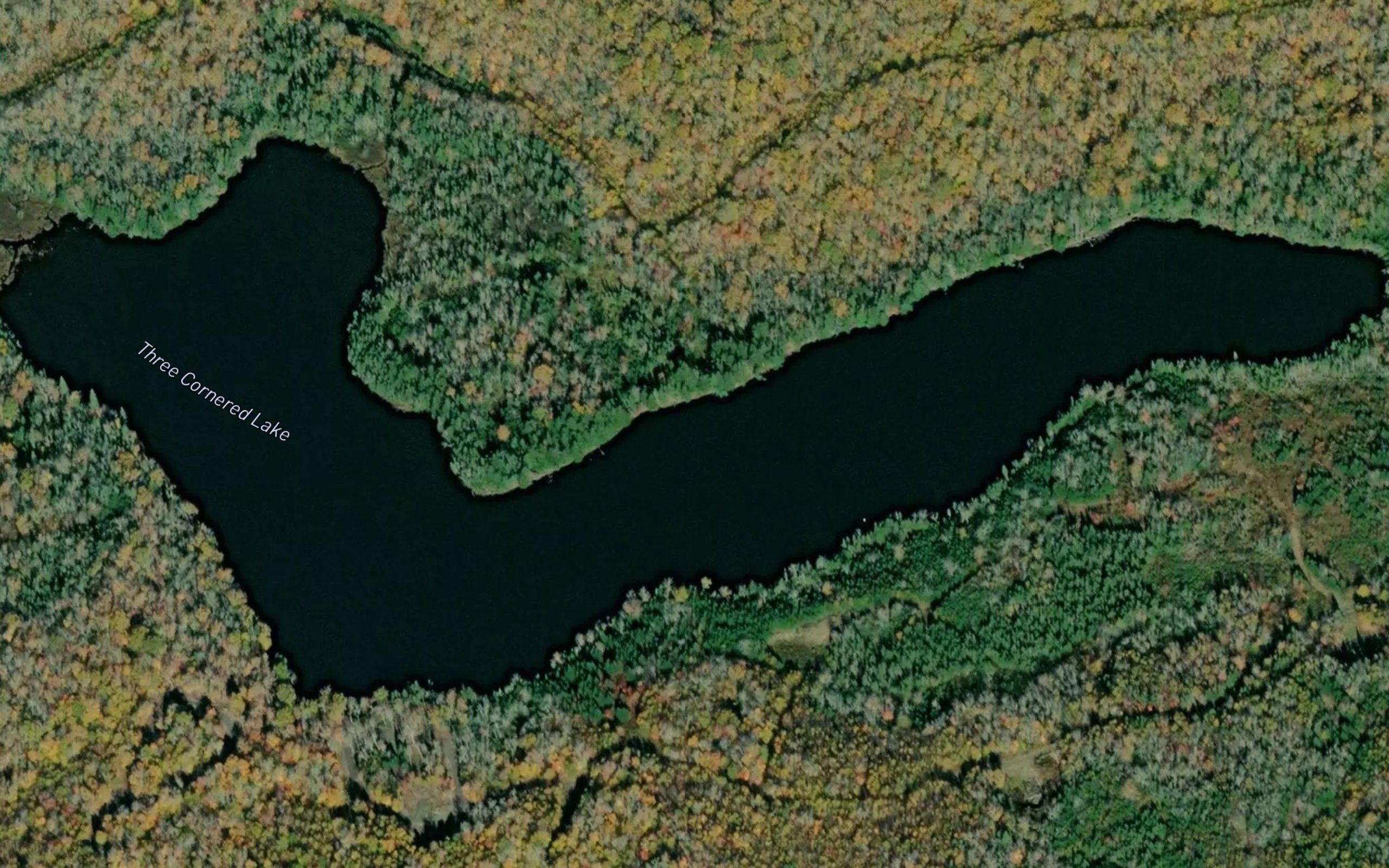 Three Cornered Lake