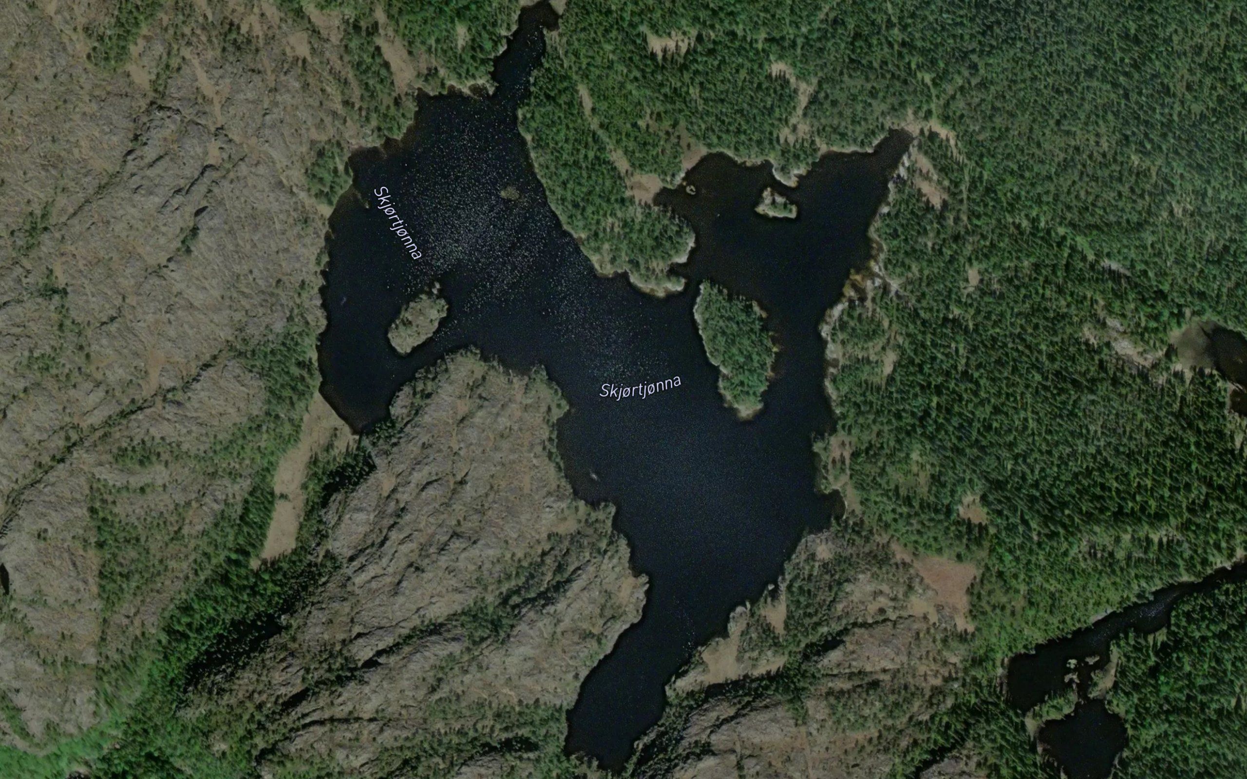 Skjortjorna