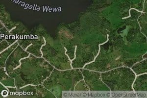 Palleriya Wewa