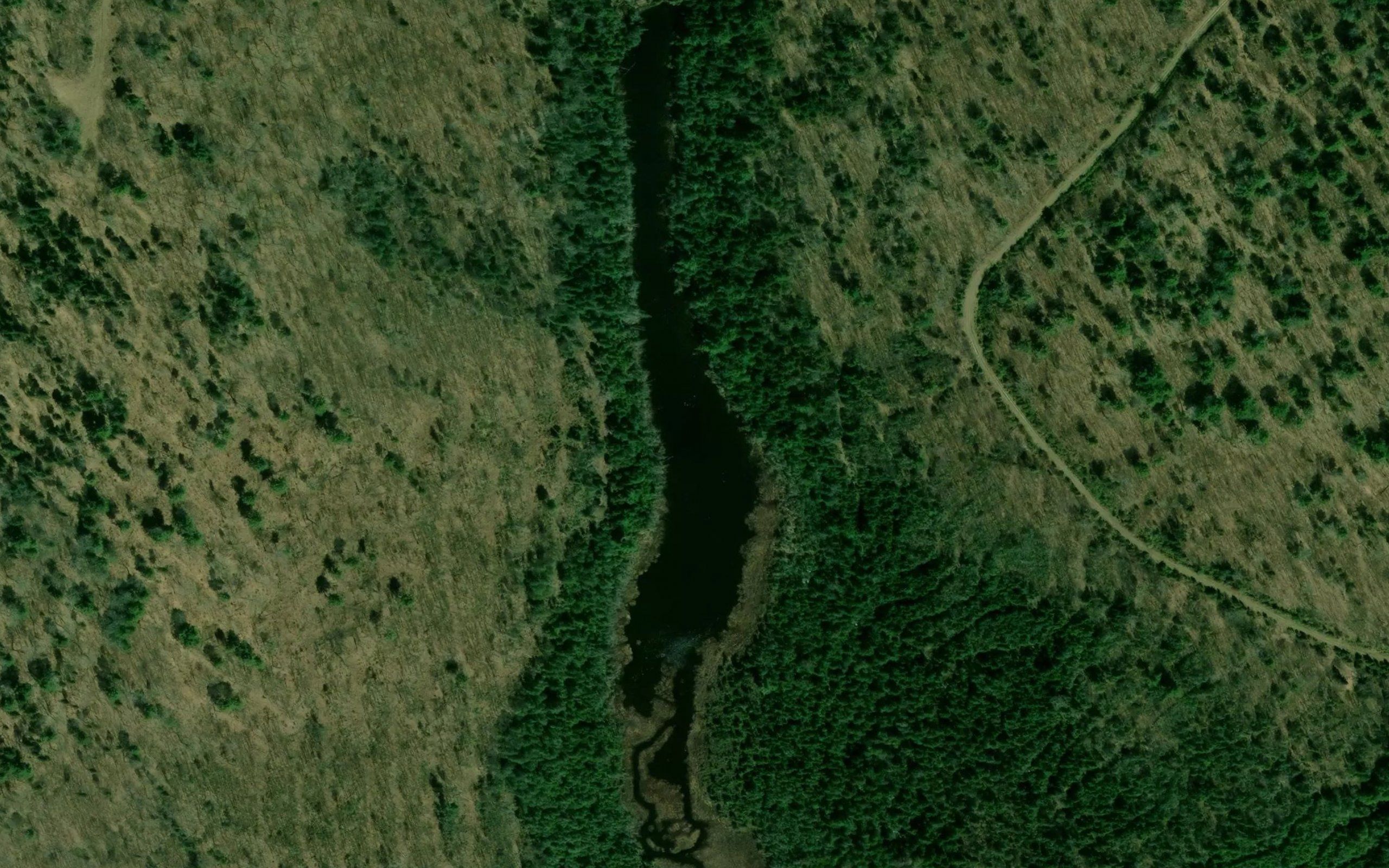 Long Pond