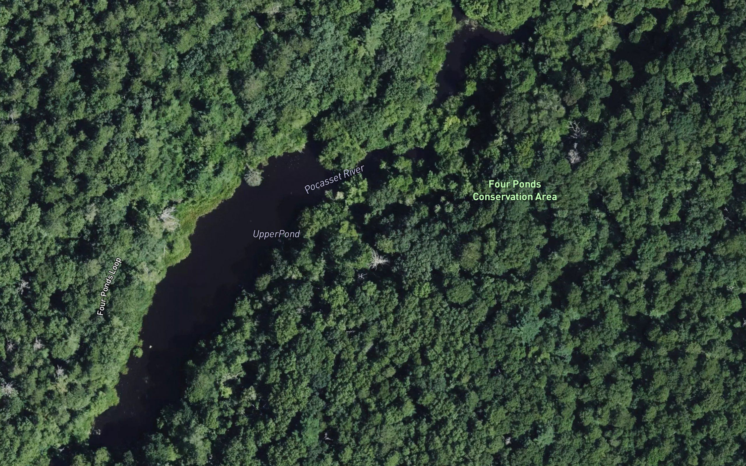 Upper Pond
