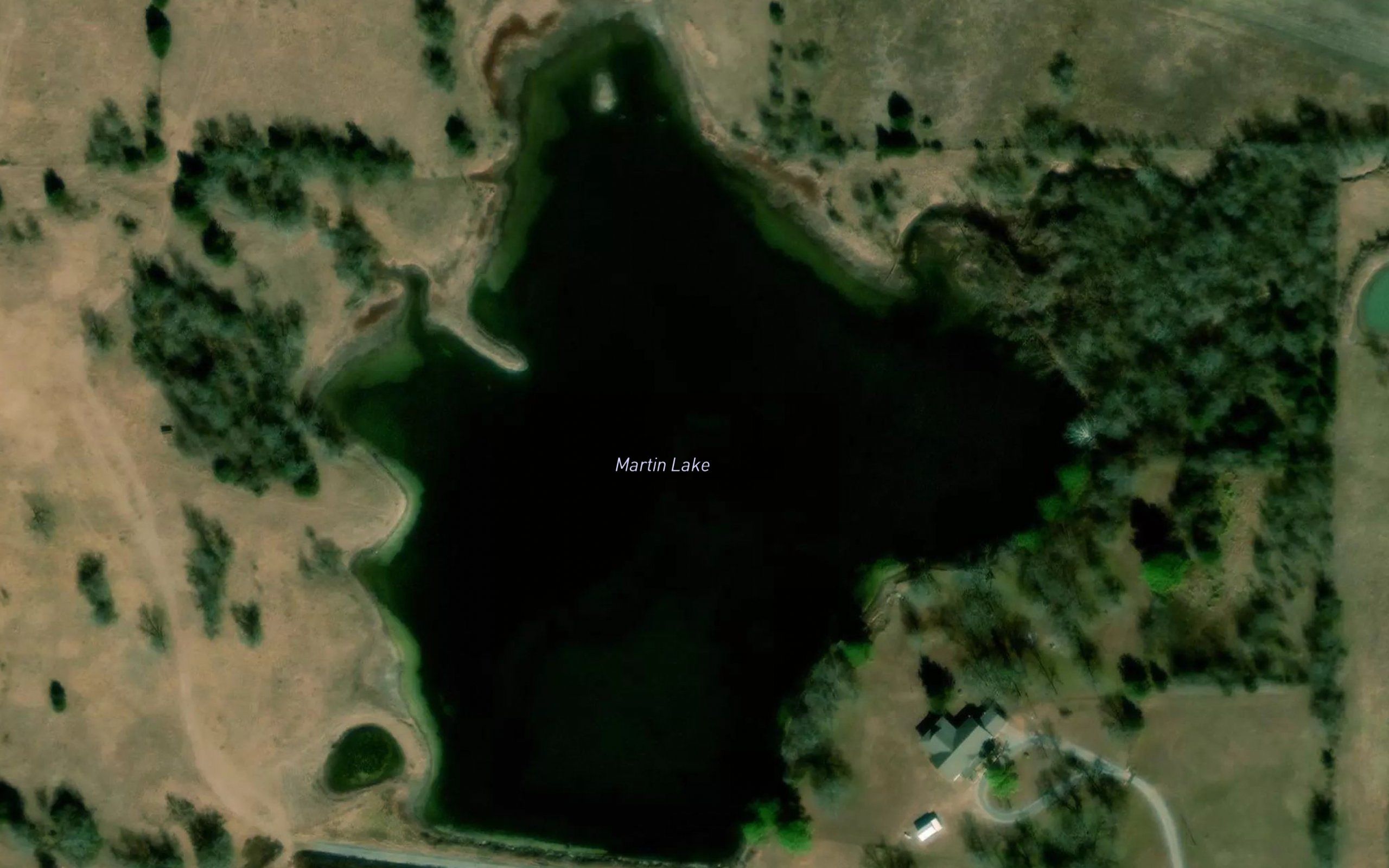 Martin Lake