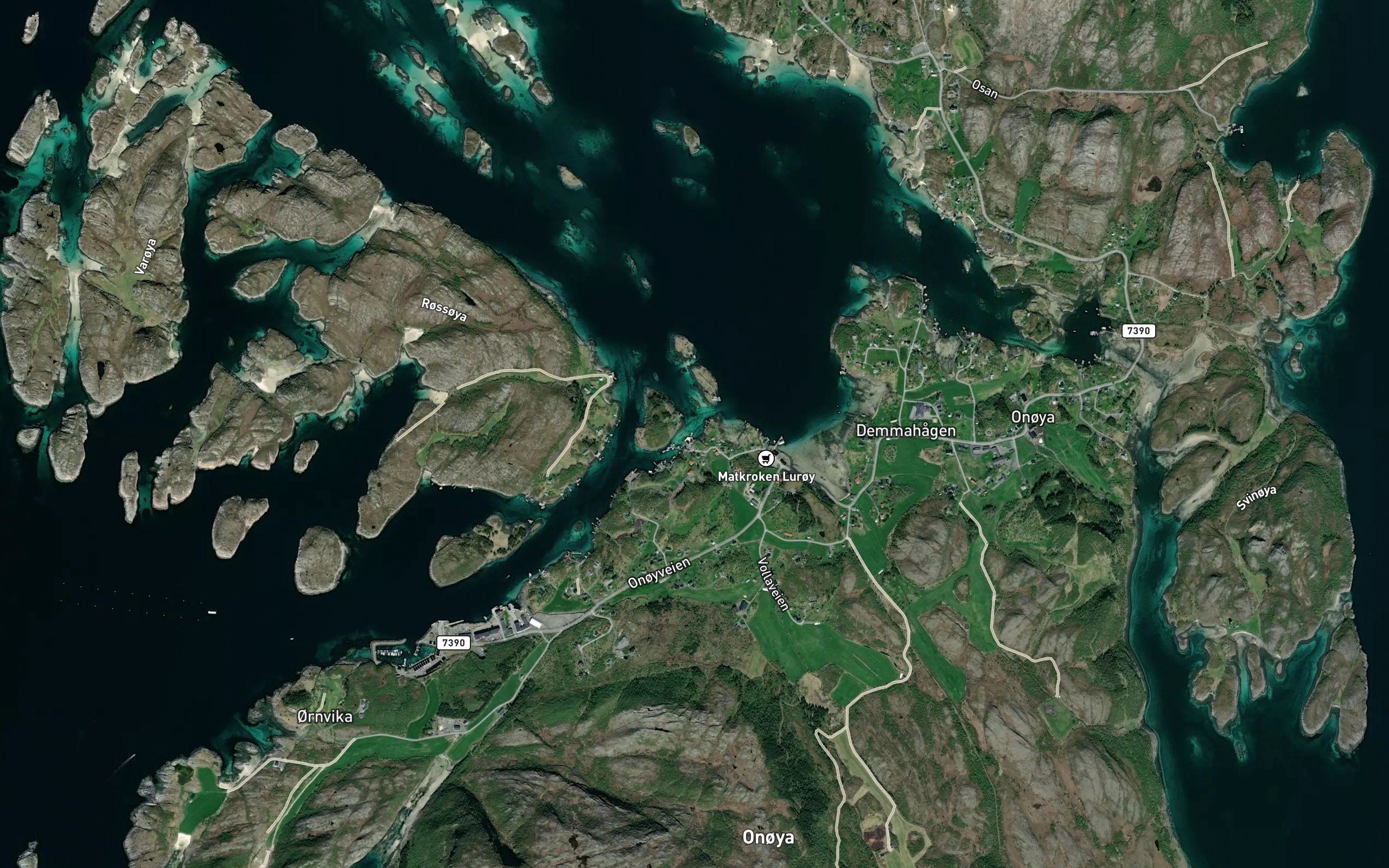 Jektvika