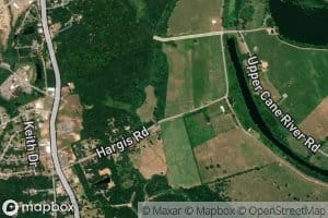 Bayou Ile Aux Vaches