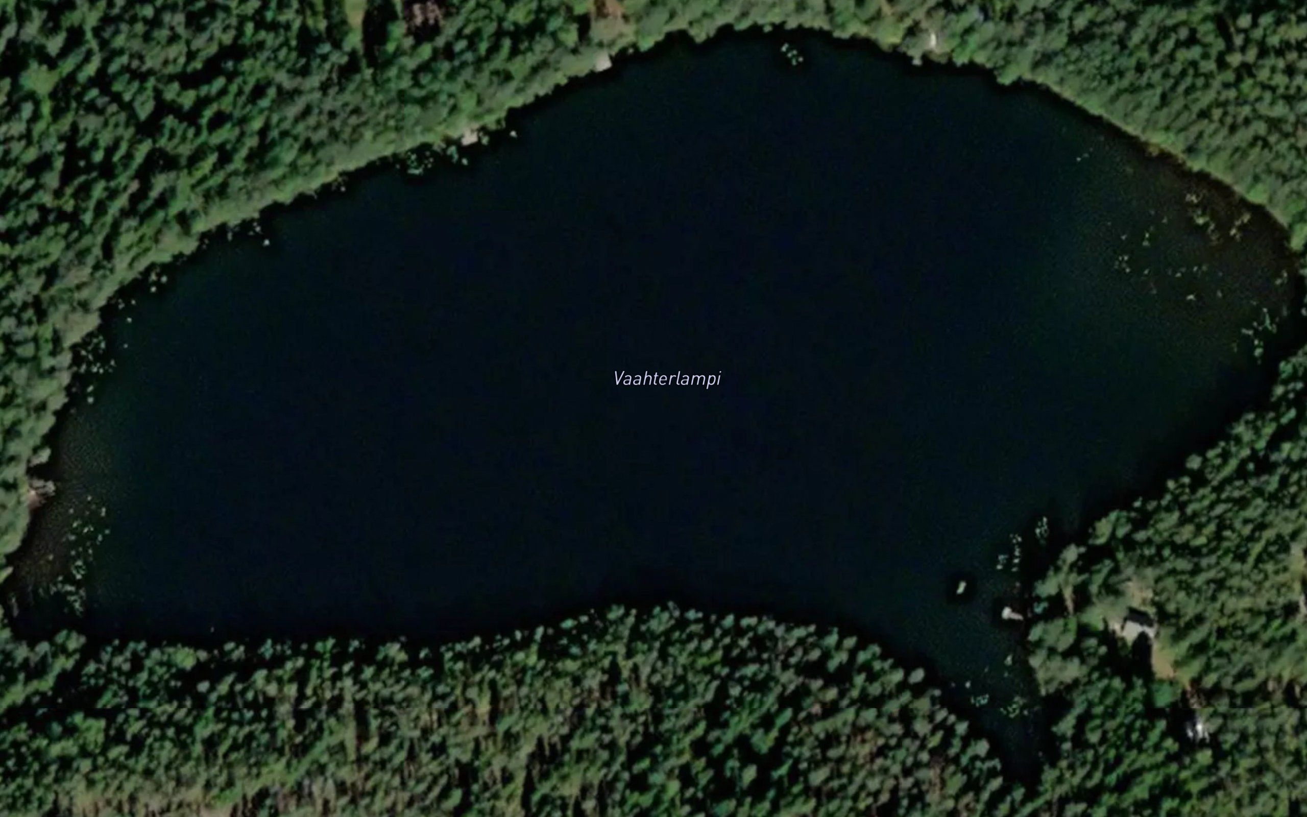 Vaahterlampi