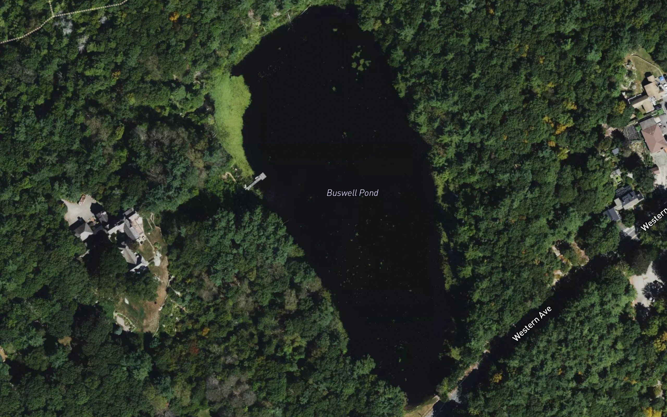 Buswell Pond