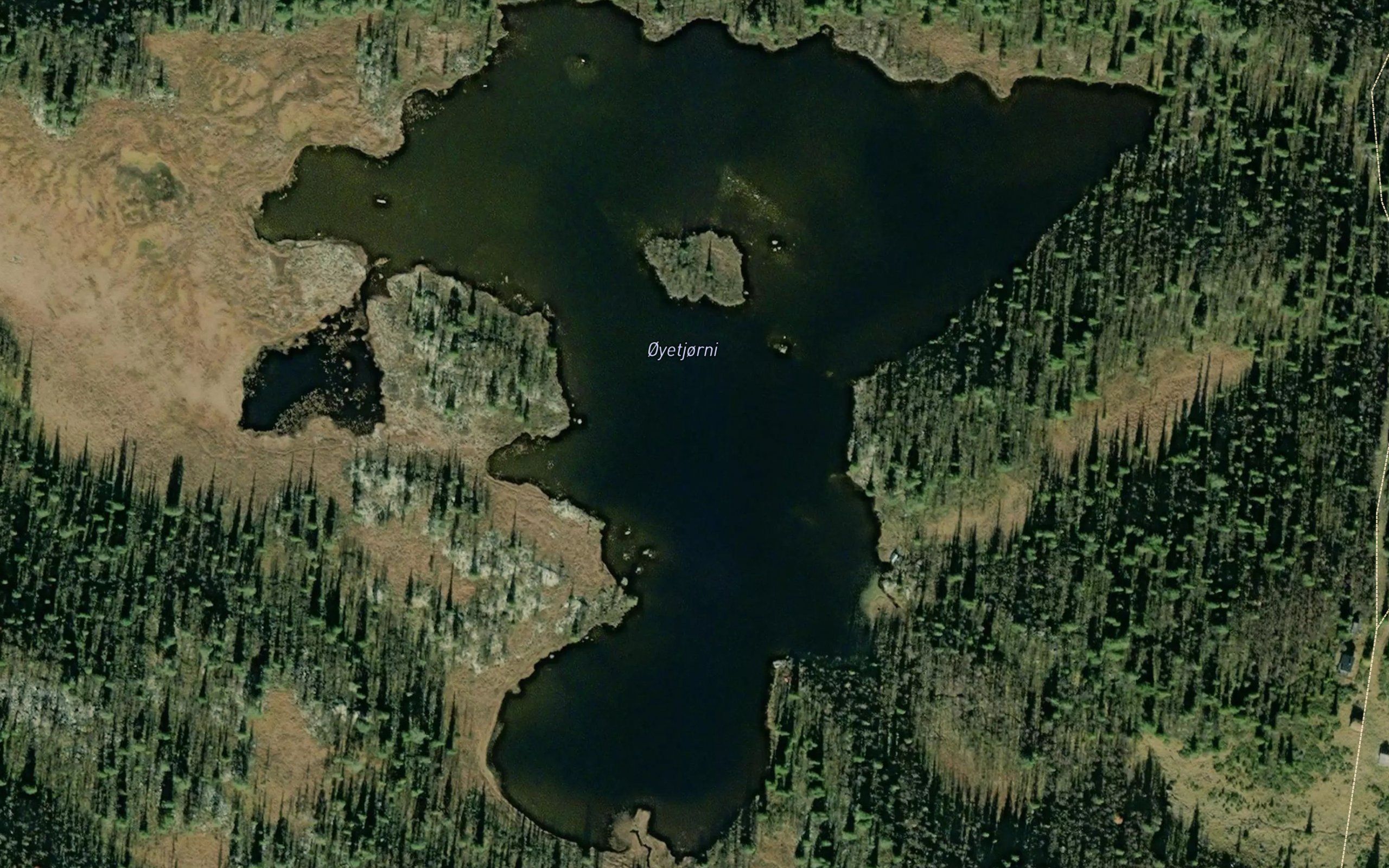 Oyetjorn
