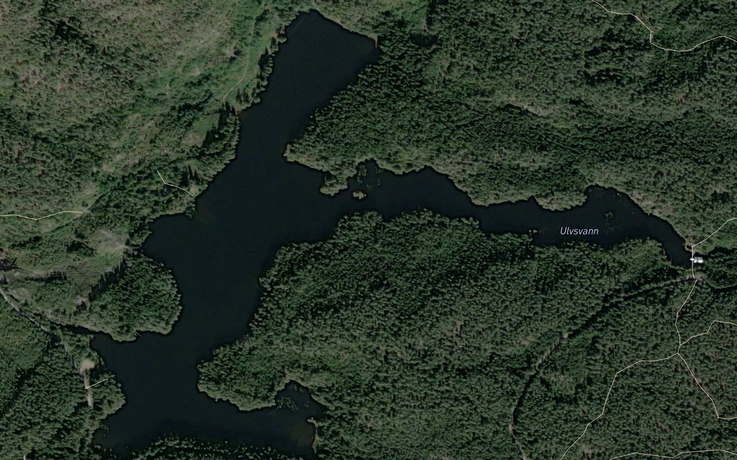 Ulvsvann
