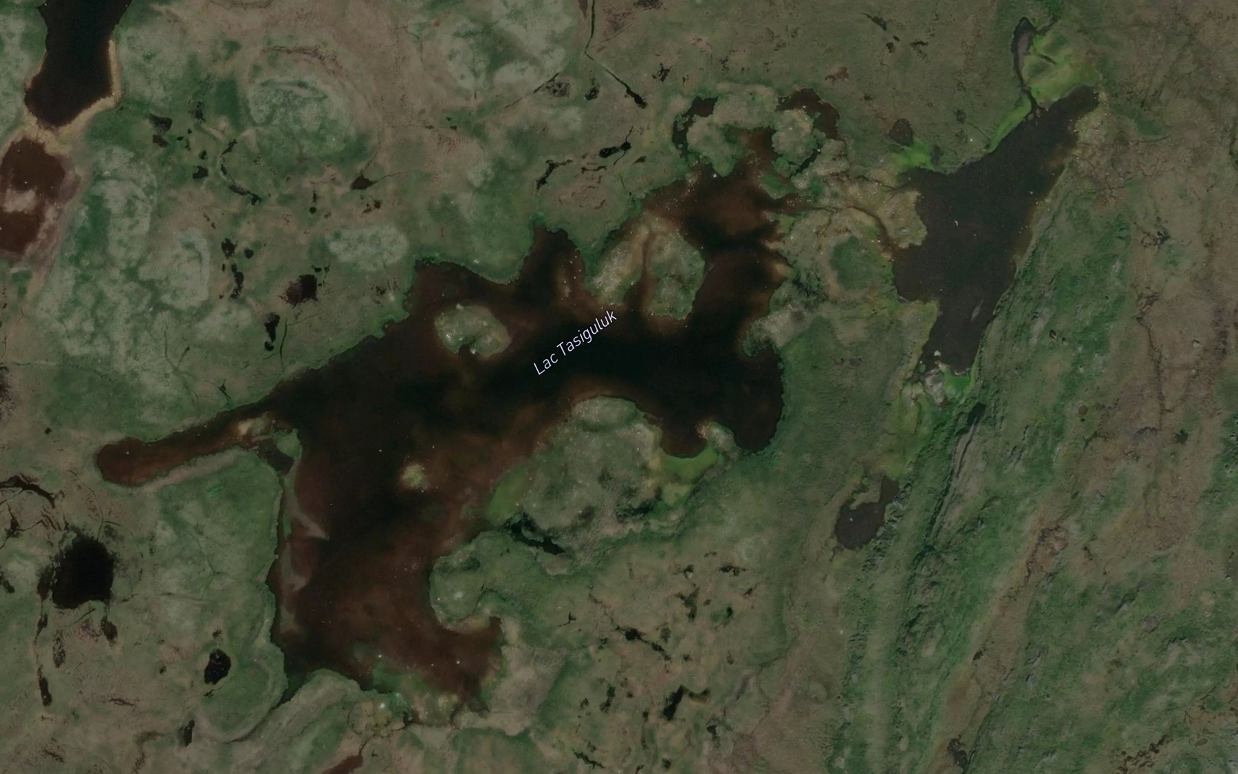 Satellite map of the Lac Tasiguluk