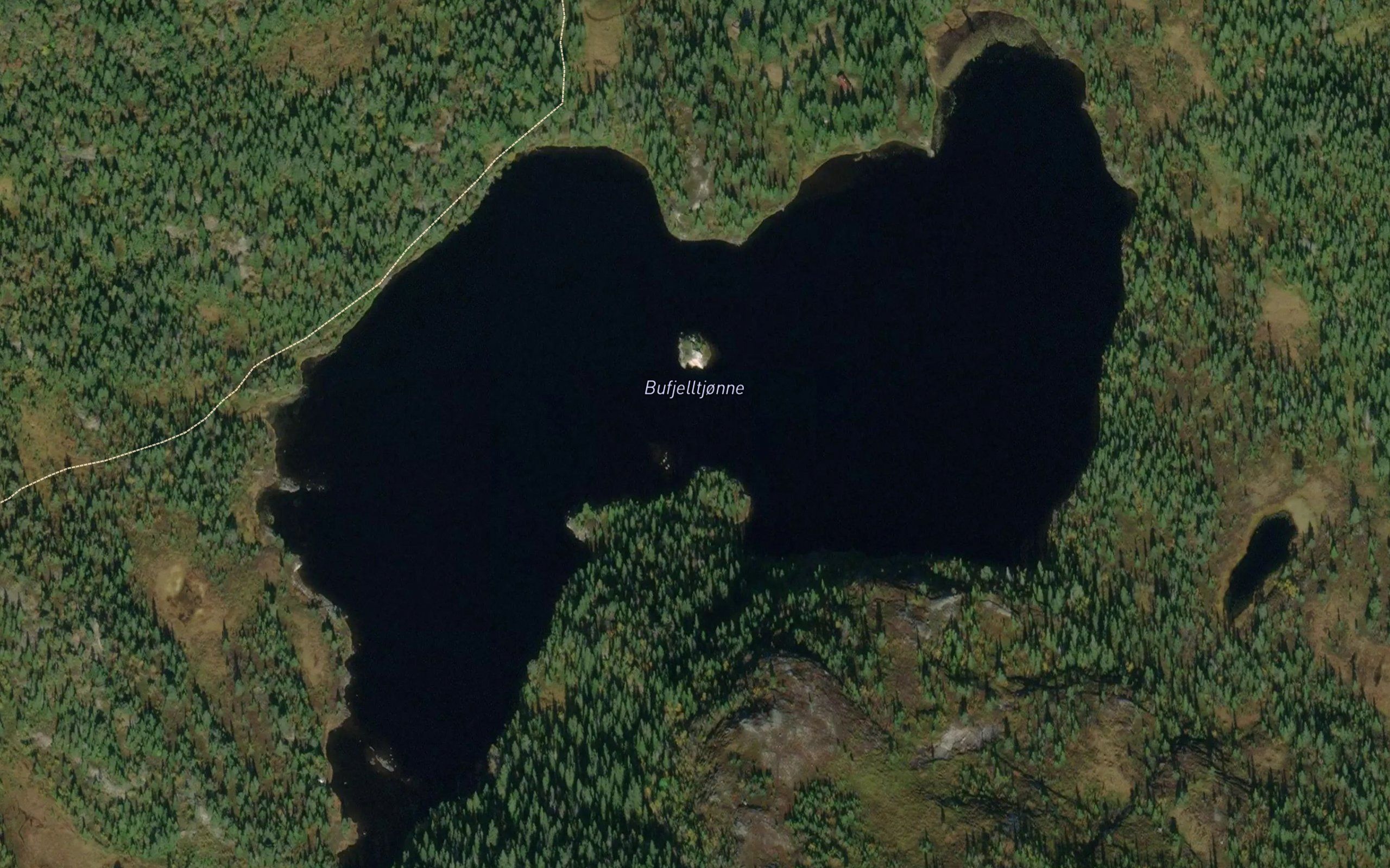 Bufjelltjonn