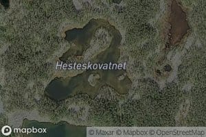 Hesteskovatnet