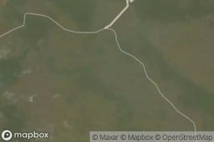 Mongoalo